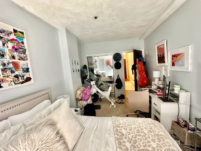 136 Prince St, North End