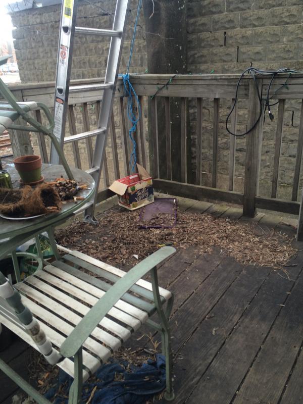 30 Wadsworth St, Allston