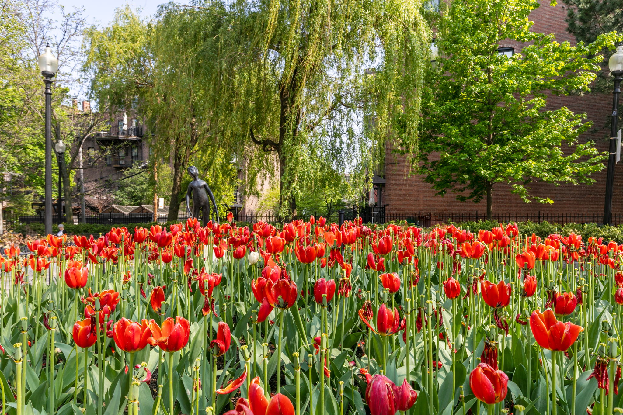 183 Canton St, South End