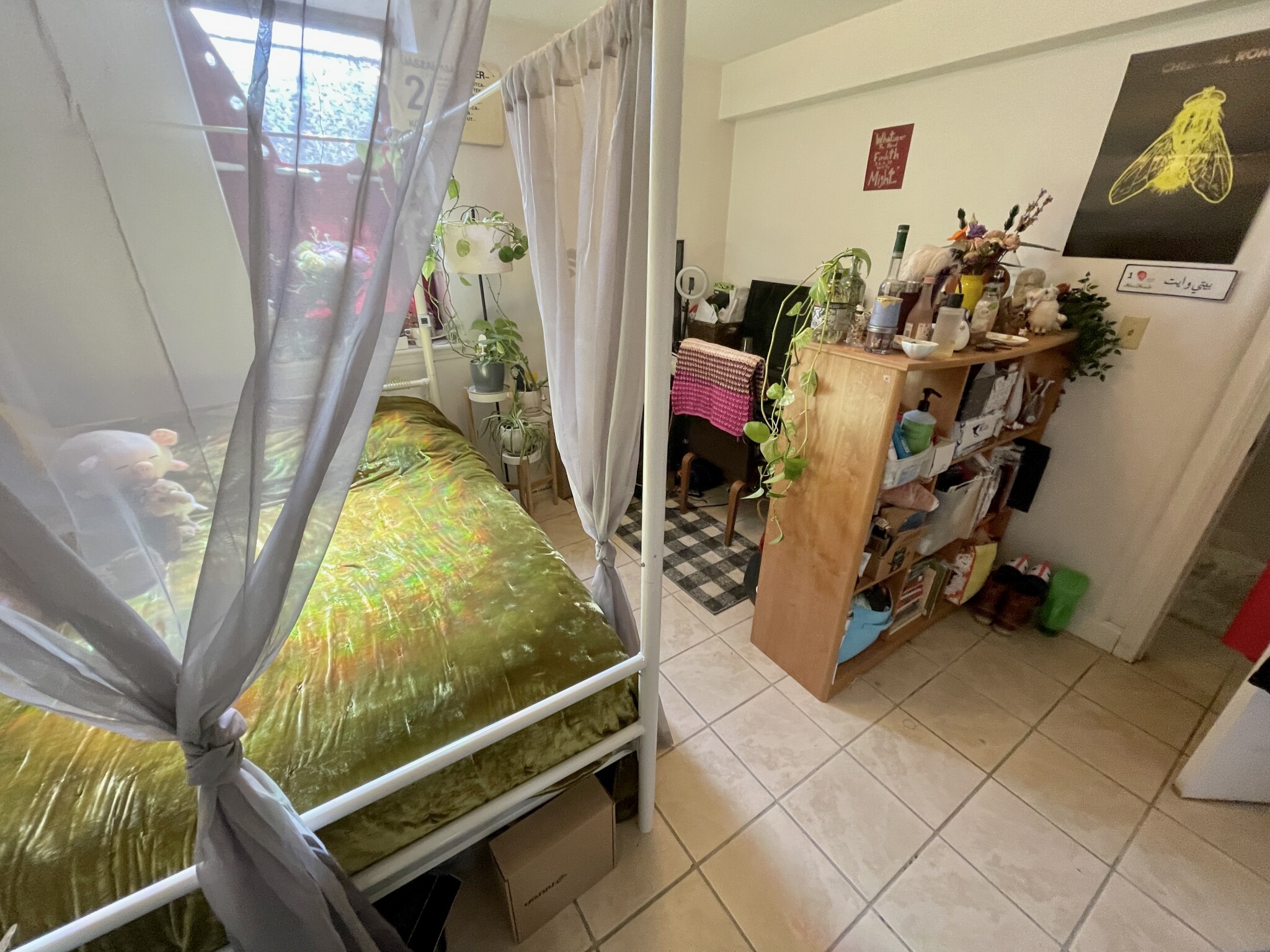 19 Egremont Rd, Brighton