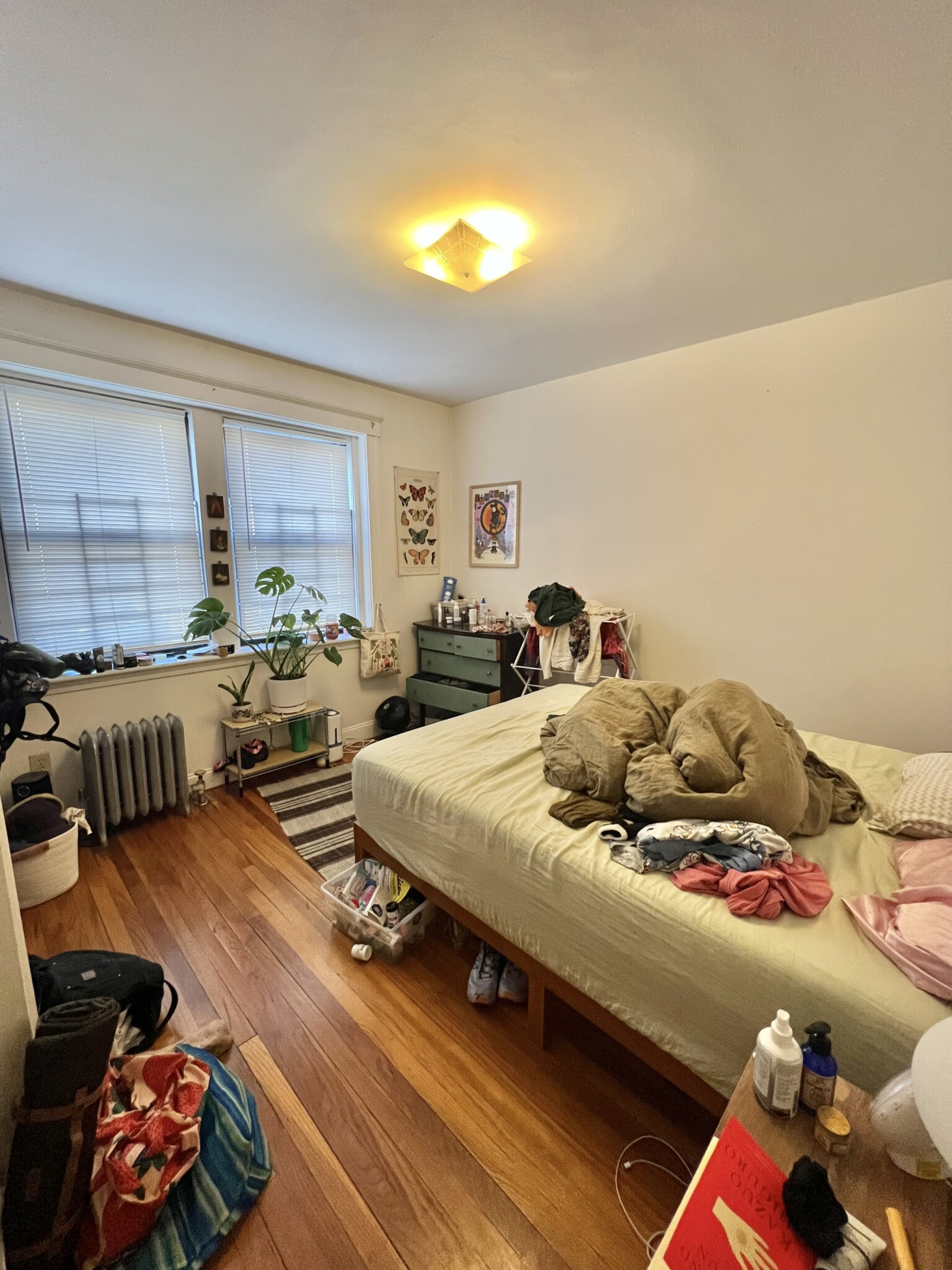 19 Egremonts Rd, Brighton