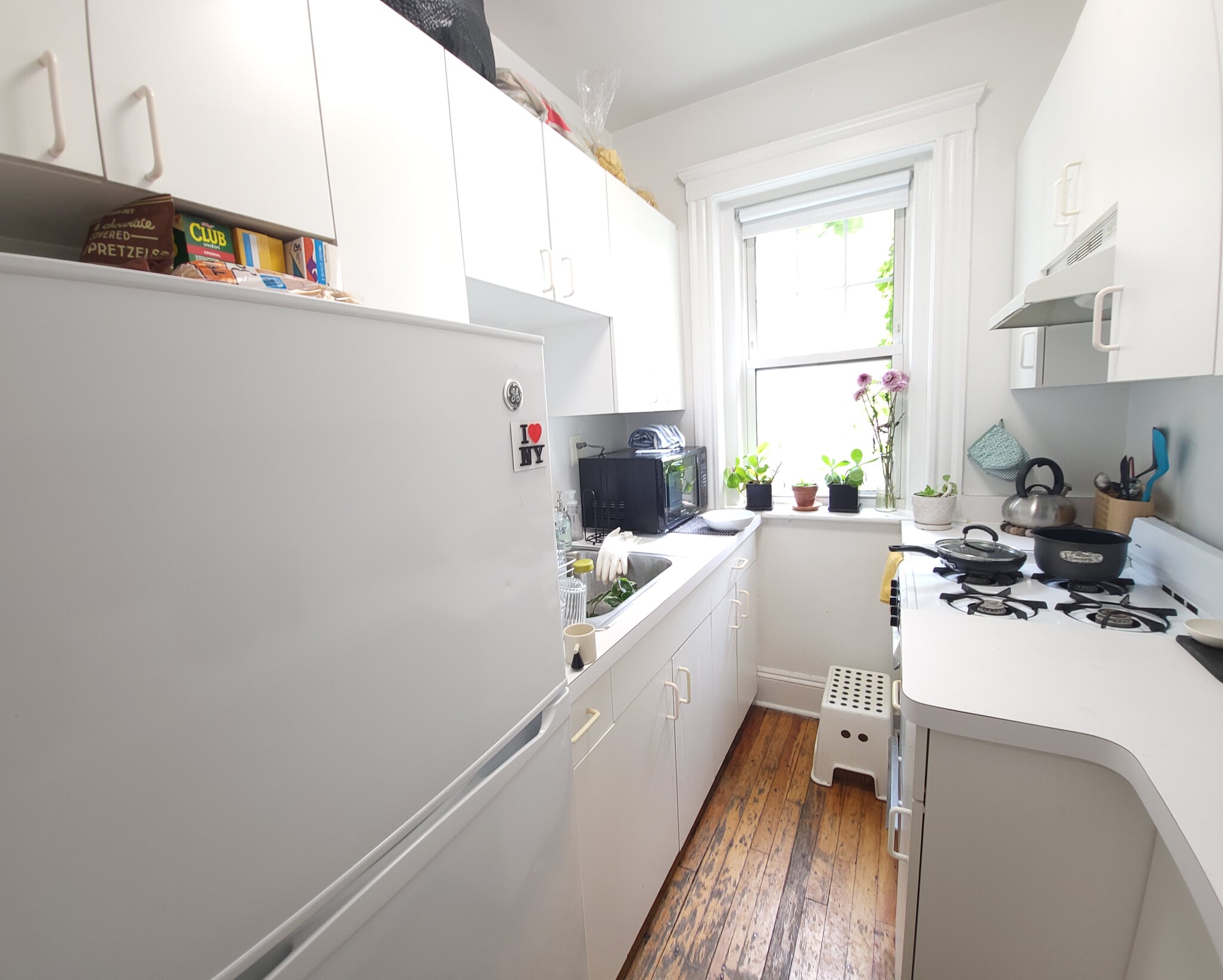 19 Wendell St, Harvard Square