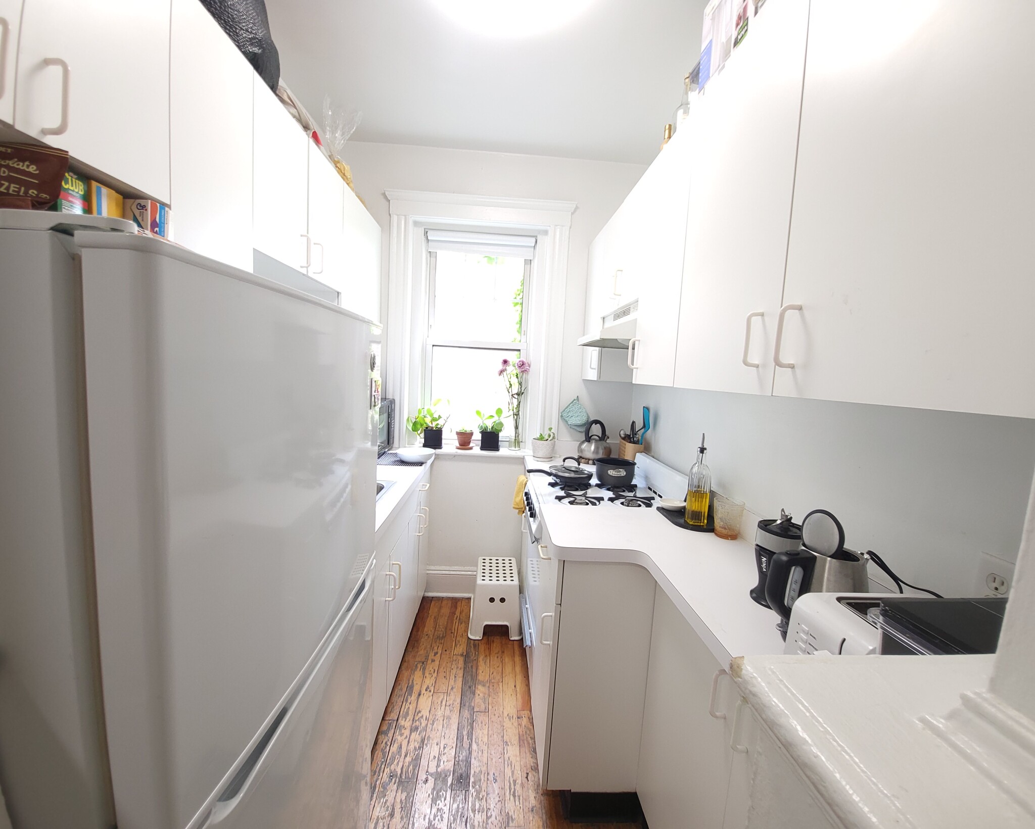 19 Wendell St, Harvard Square