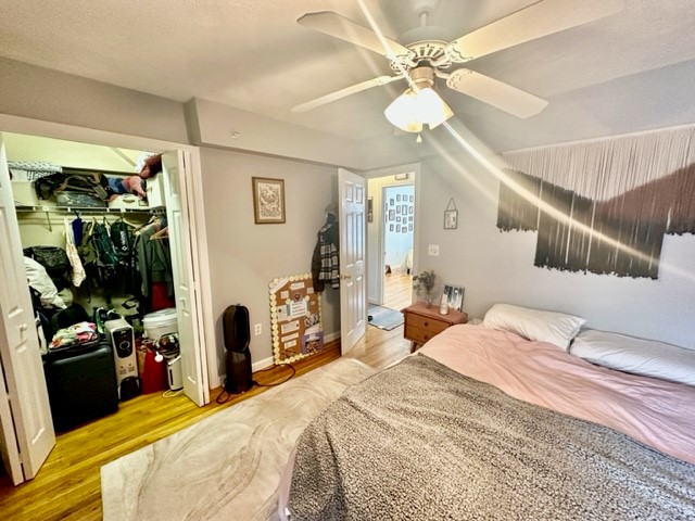 10 Harris St, North End