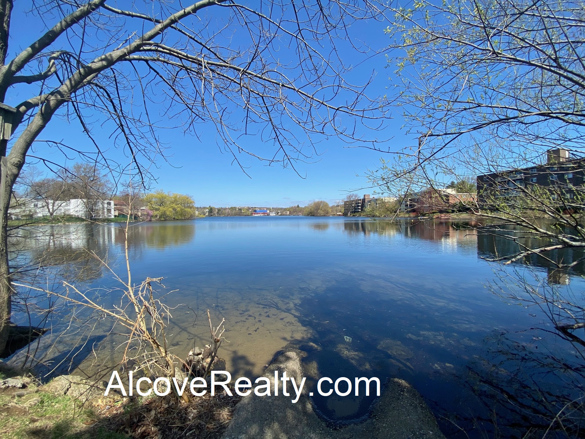 40 Alfred Rd, Arlington