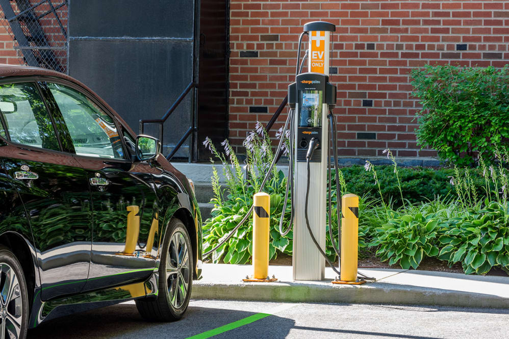 10 Camelot Ct, Brighton