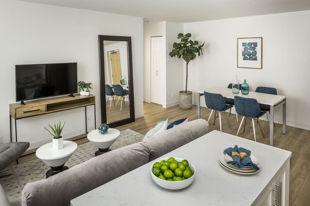 11 Camelot Ct, Brighton