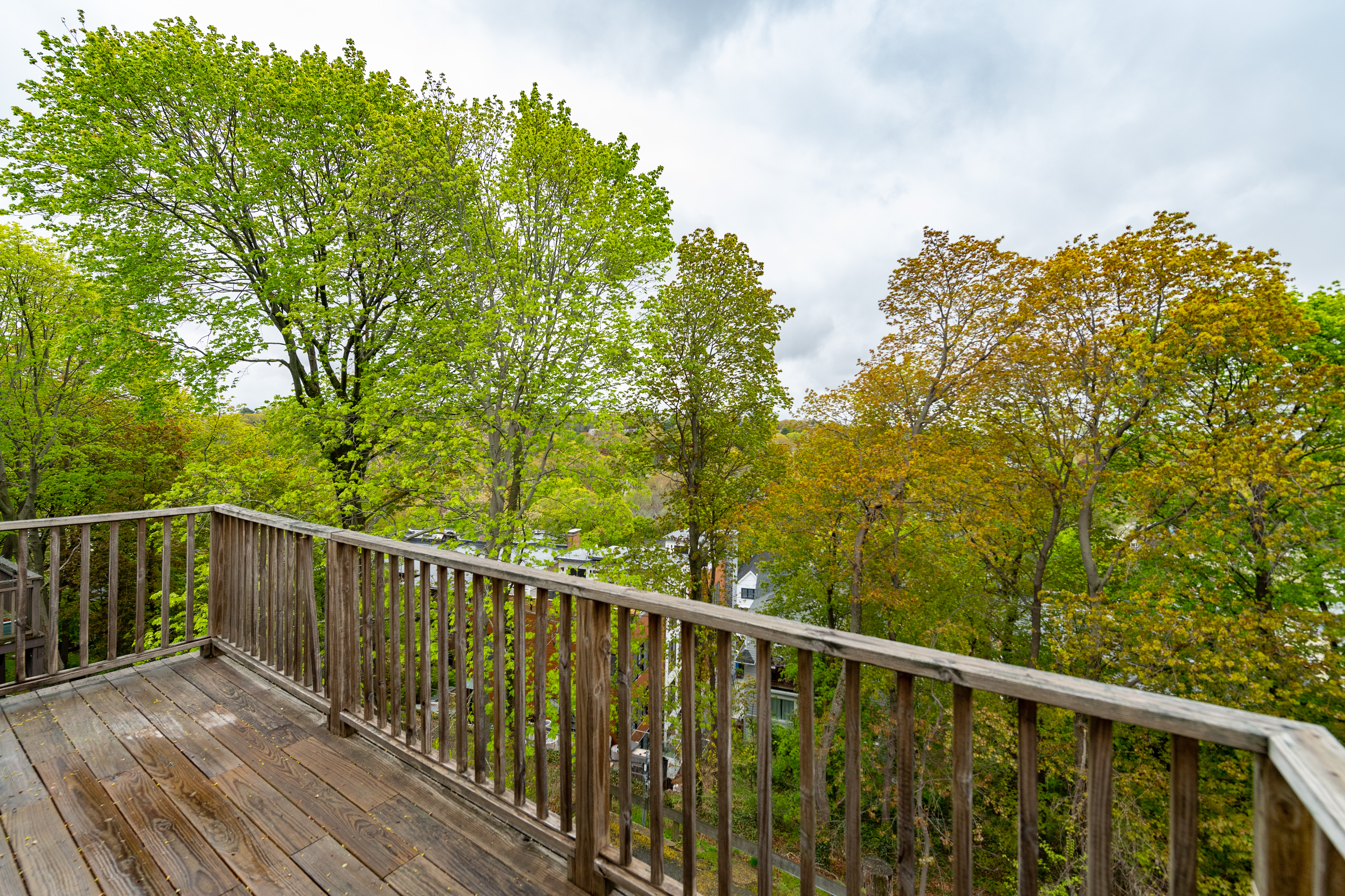 198 Rawson Rd, Brookline Hills