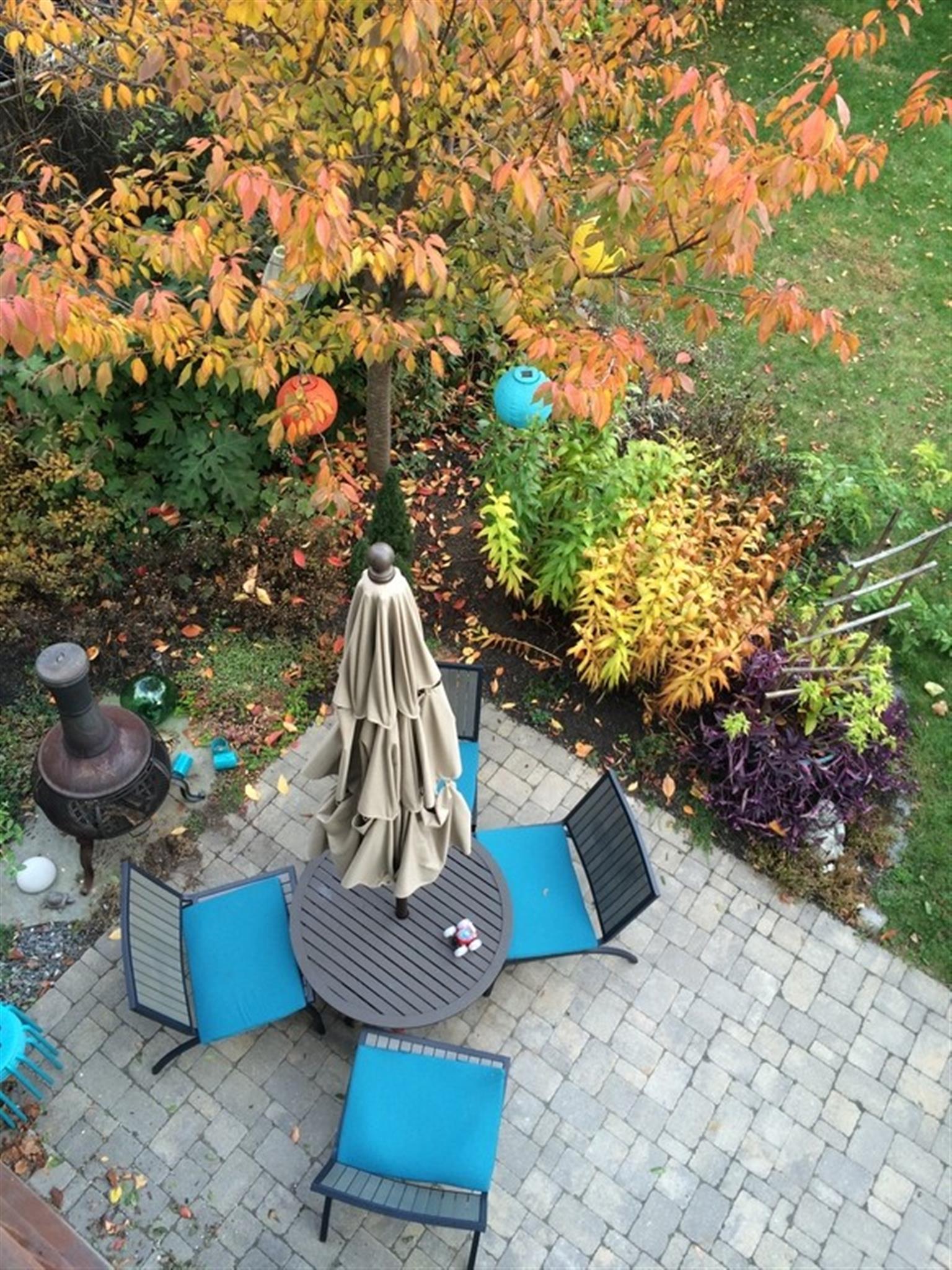 232 Harvard St, Medford