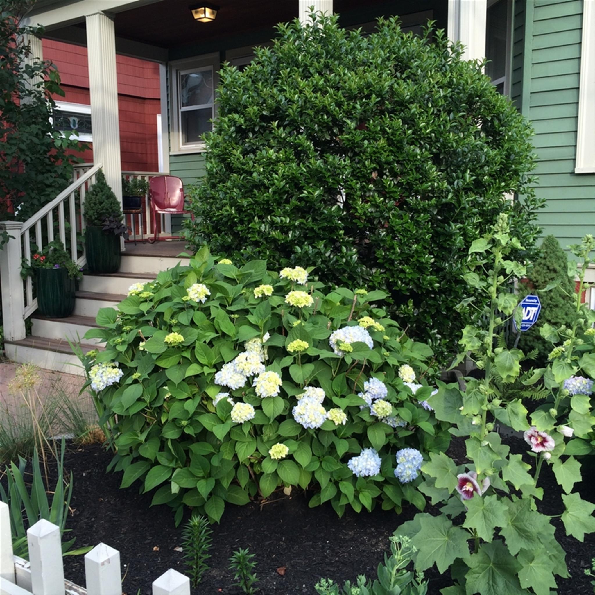 232 Harvard St, Medford