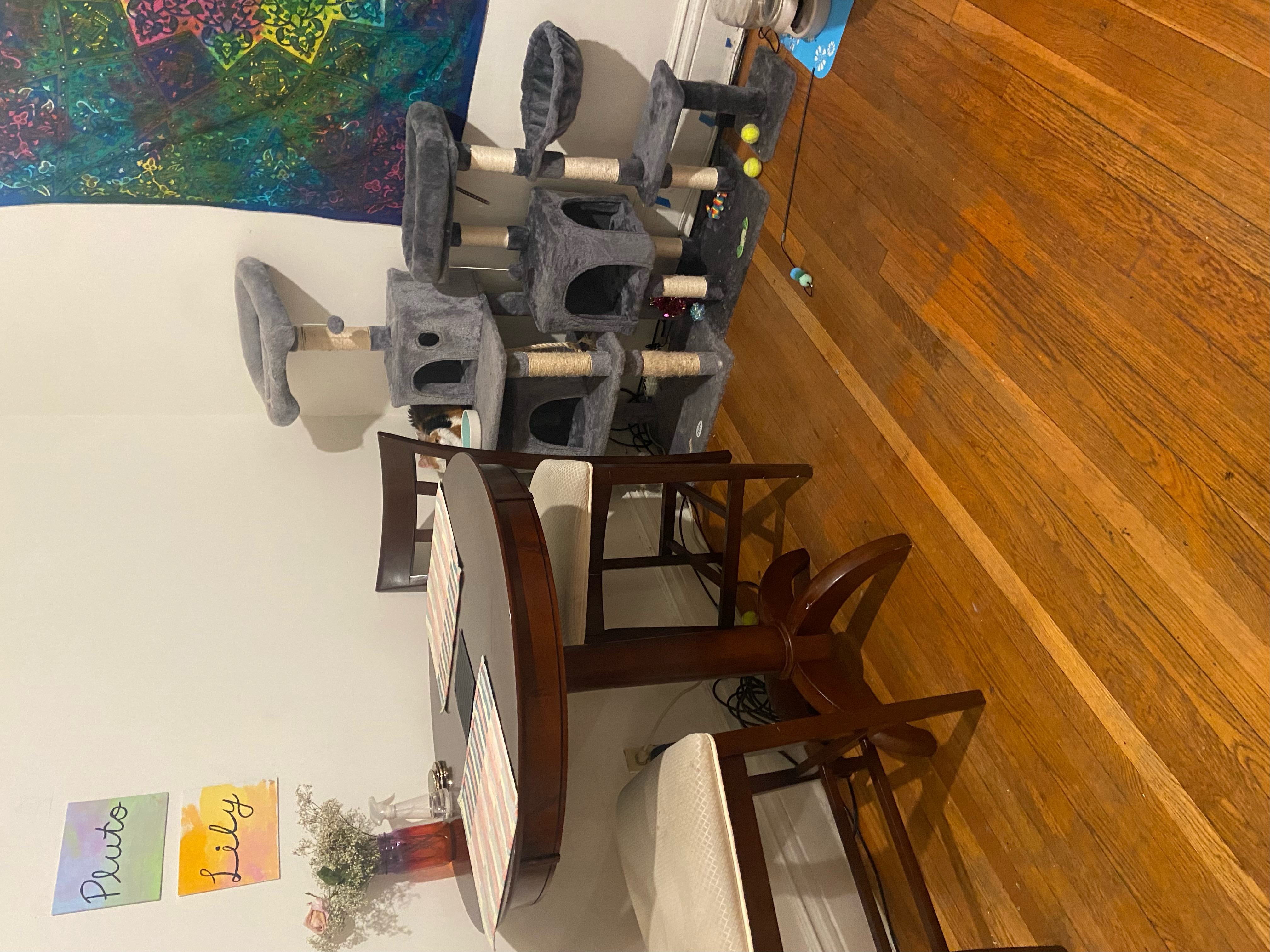 31 Saint Lukes Rd, Allston