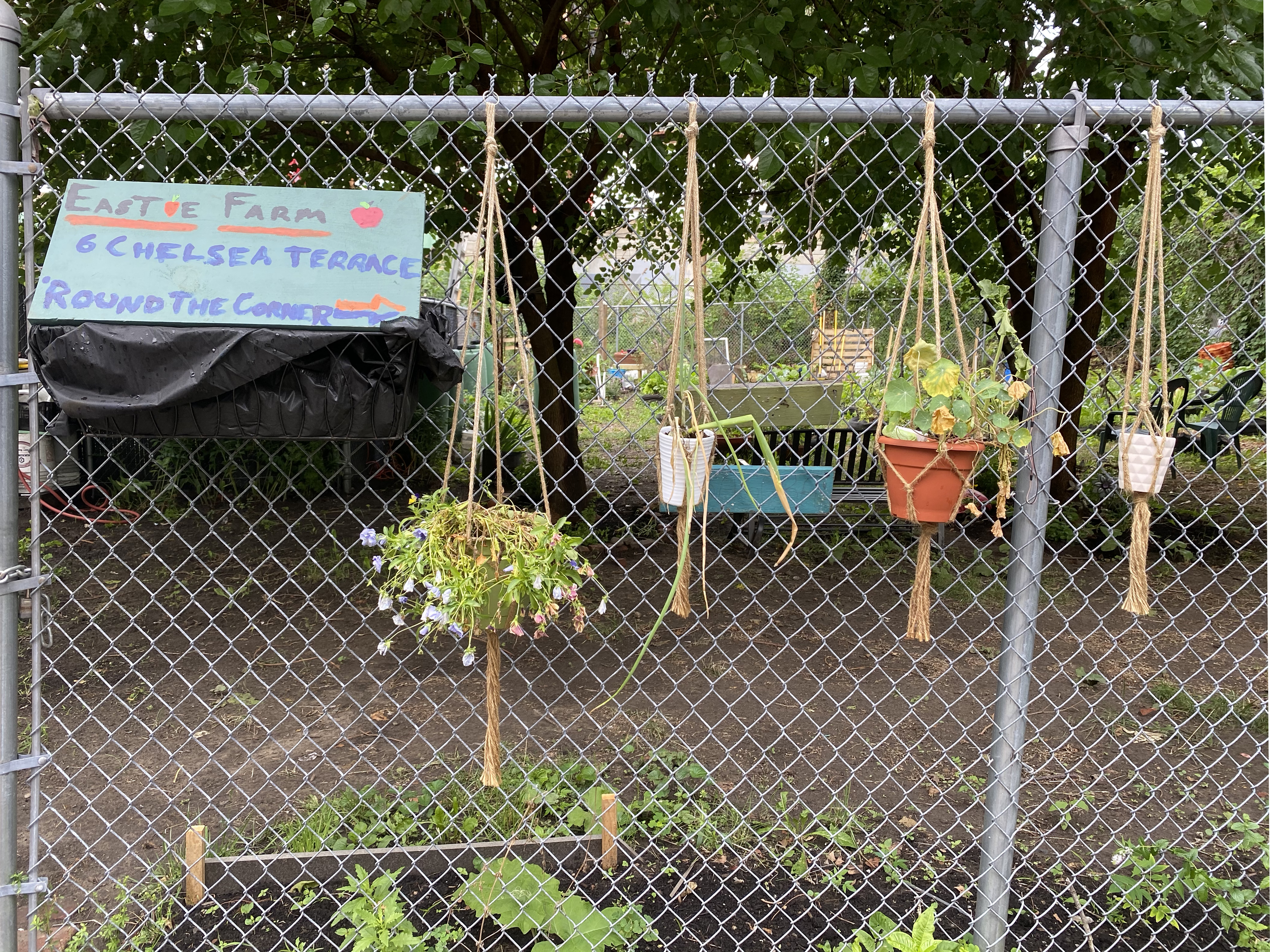 1 Chelsea Ter, East Boston