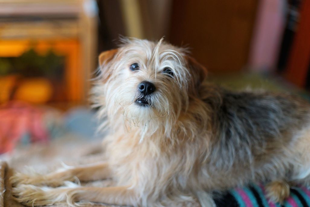 250 Station Cir, Dedham