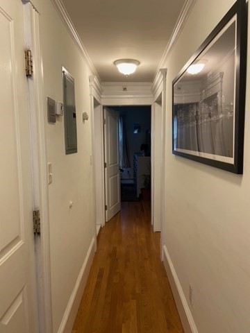 3 Grimes St, South Boston