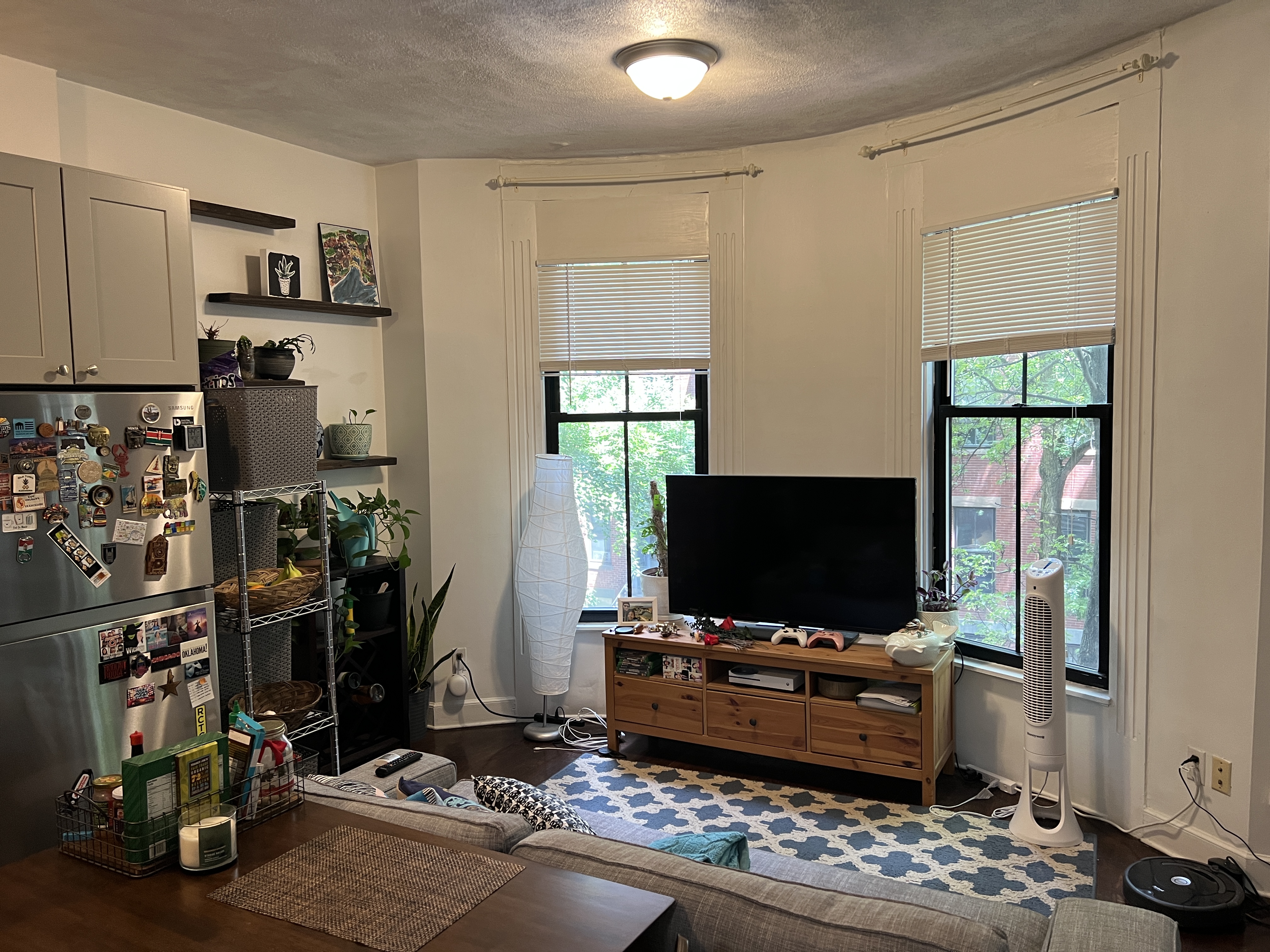 41 East Springfield St, South End