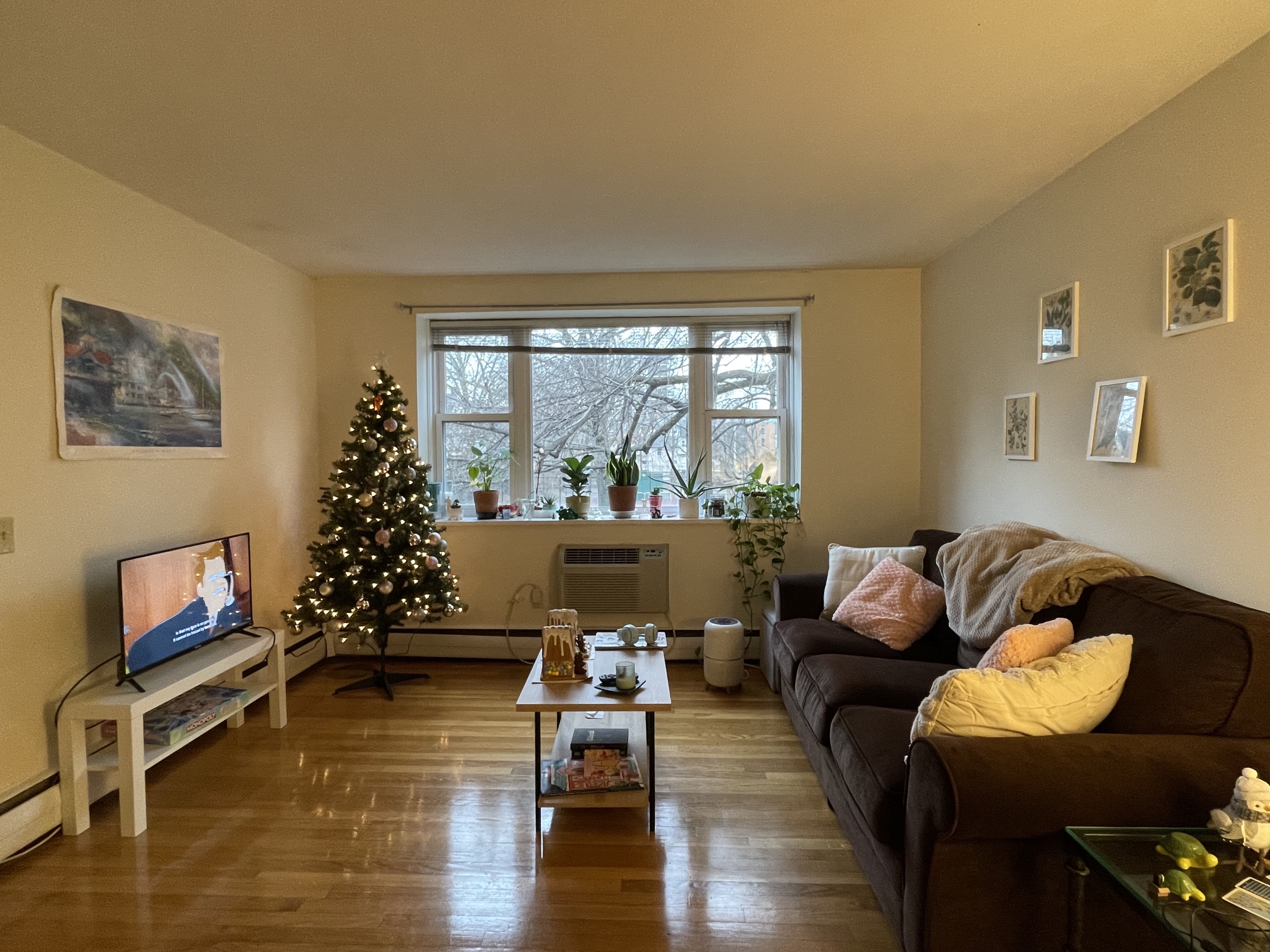 110 Babcock St, Coolidge Corner