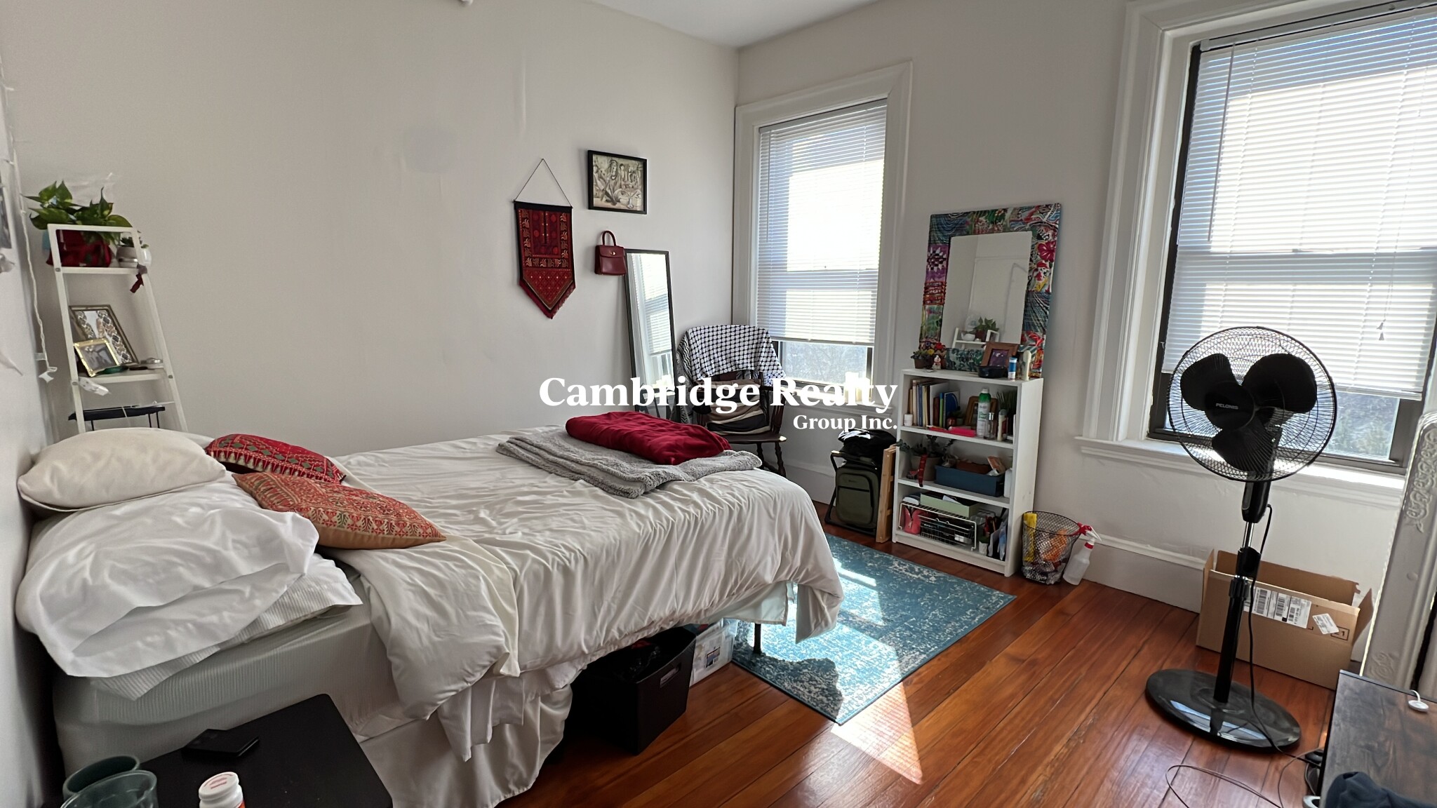 1010 Massachusetts Ave, Harvard Square