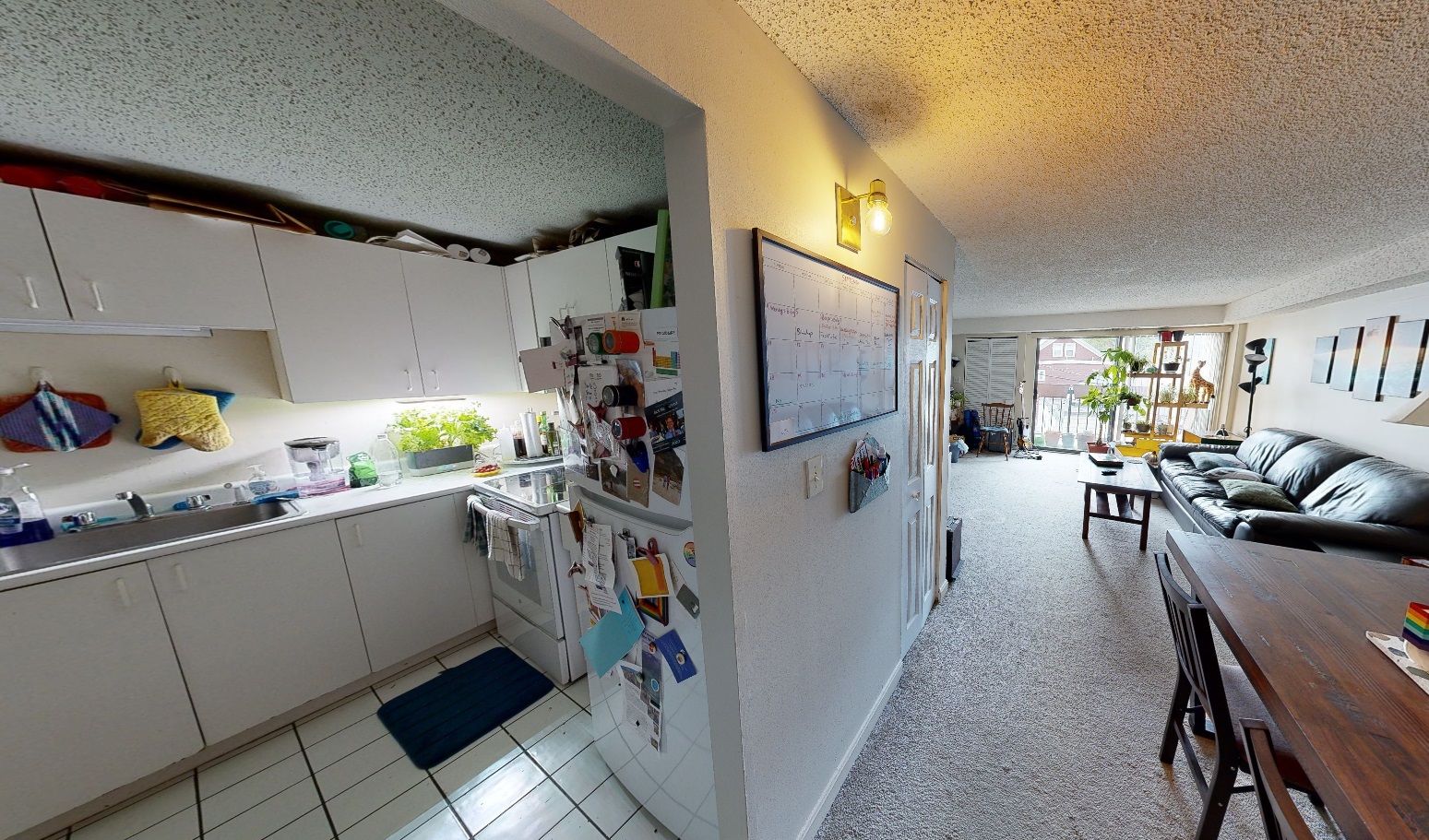 16 Elmer St, Riverside