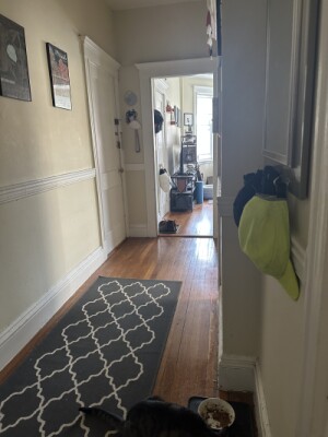 161 Kelton St, Allston