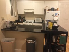 1189 Commonwealth Ave, Allston