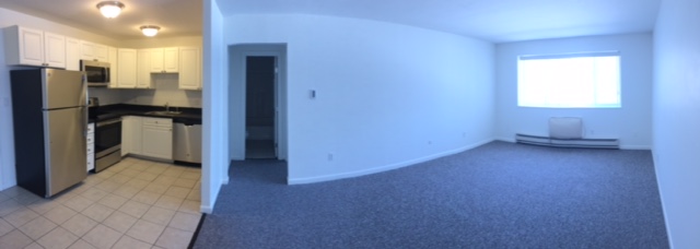 15 Argyle Ter, Dorchester