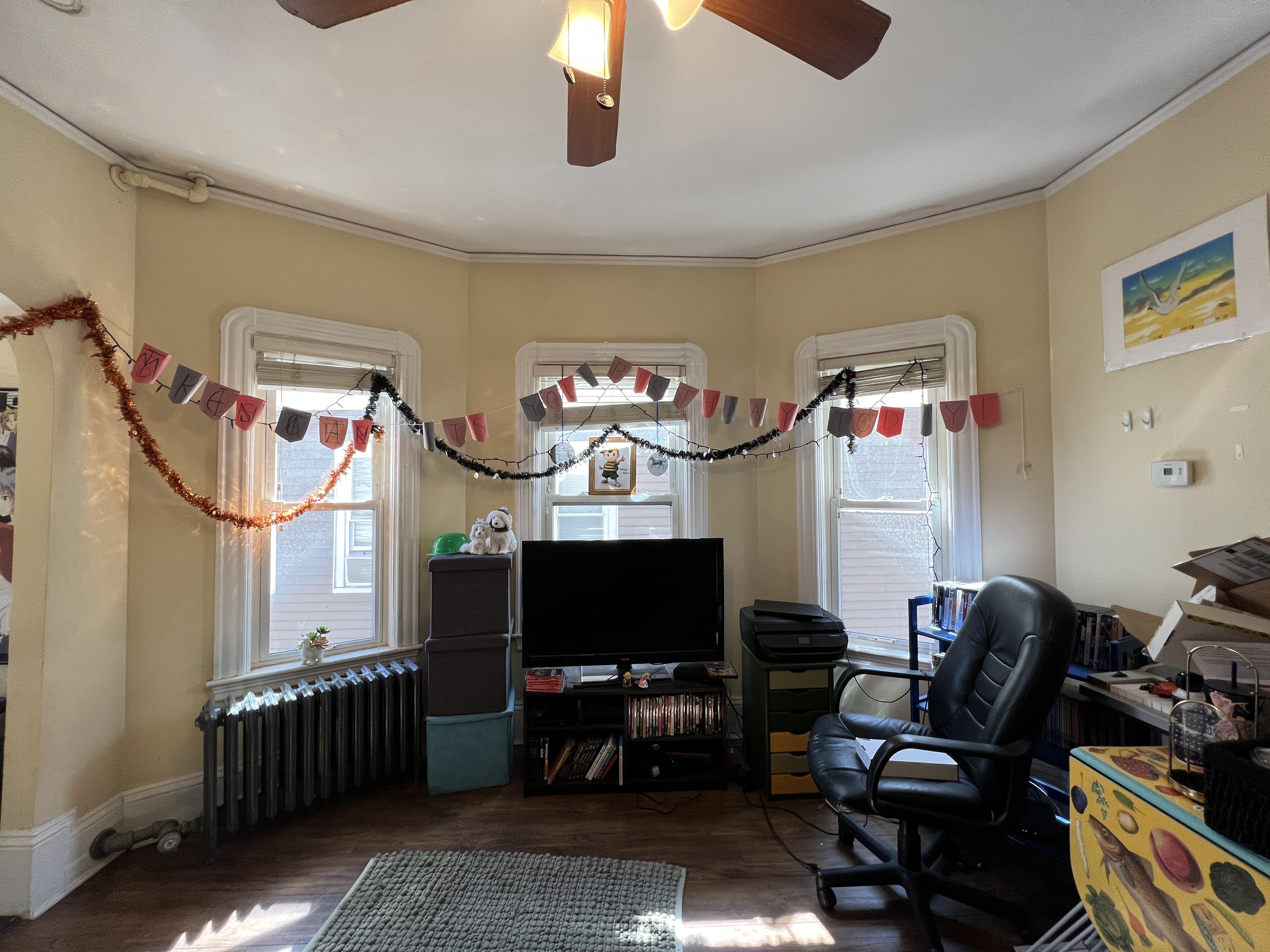 21 Chandler St, Davis Square