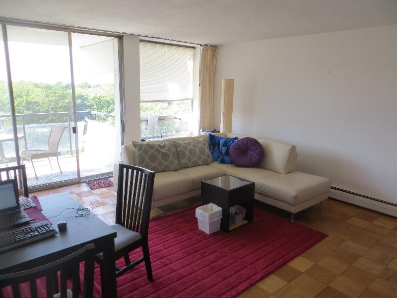 60 Babcock St, Brookline Hills