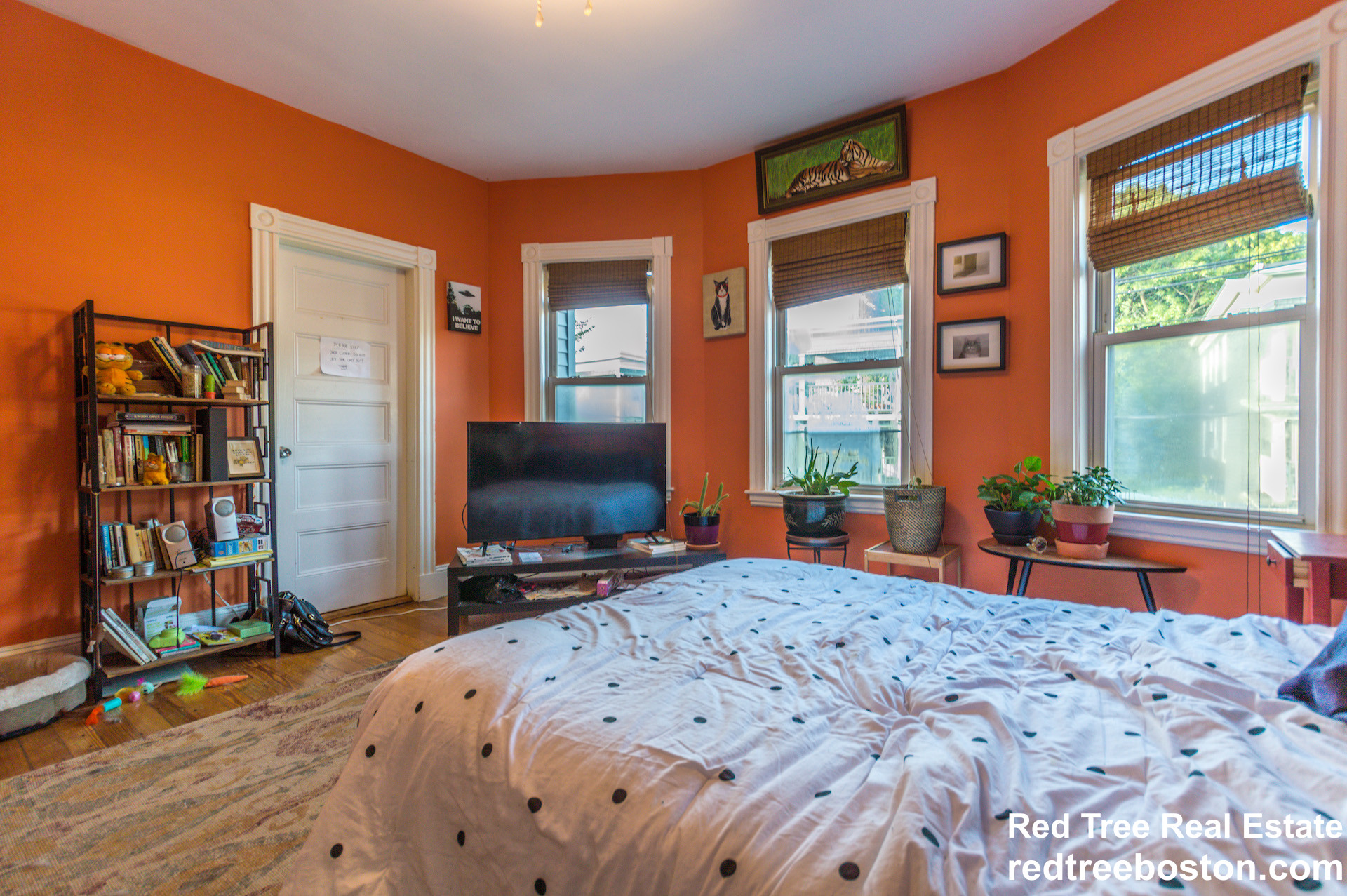 121 Williams St, Jamaica Plain