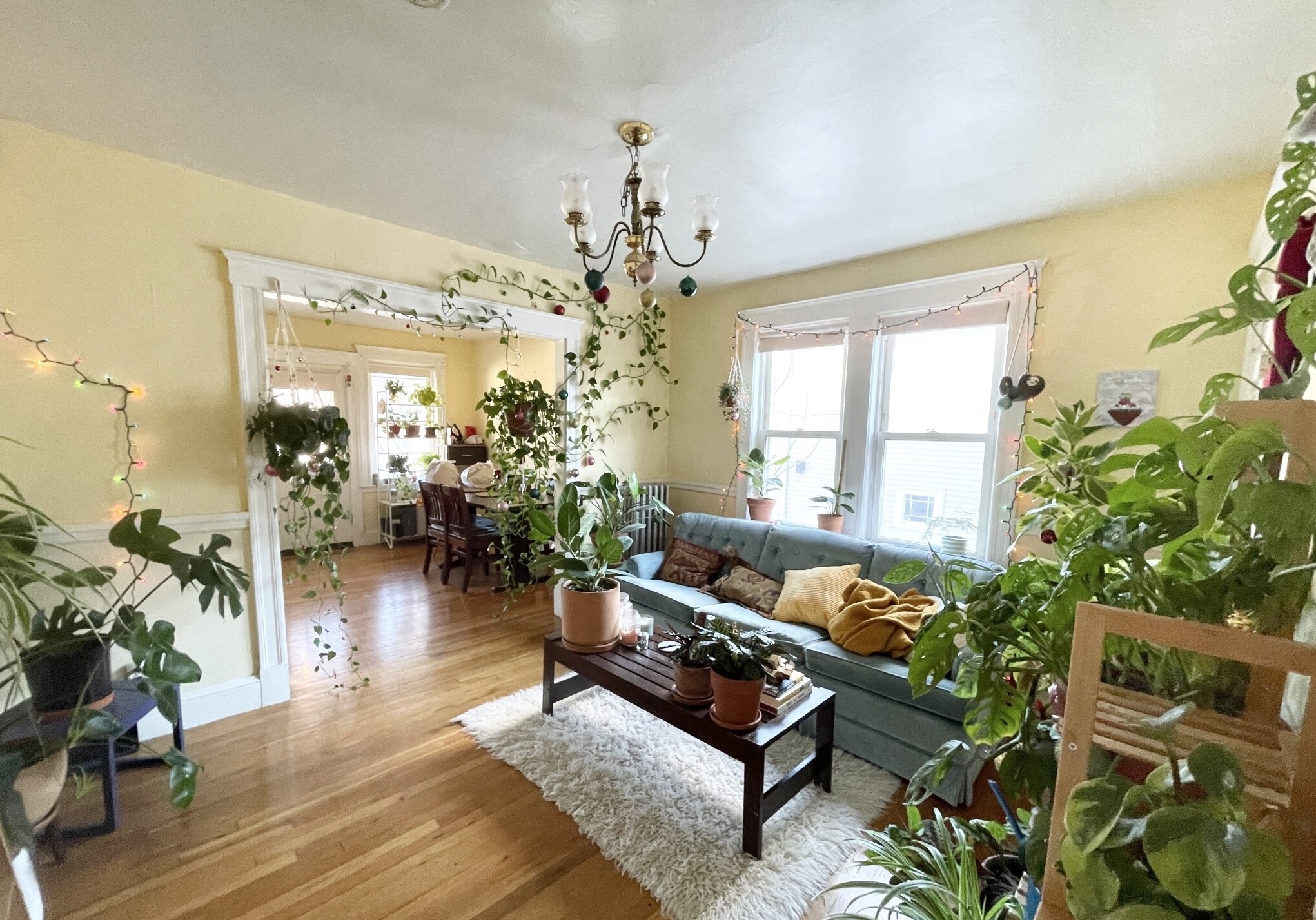 6 Mission St, Mission Hill