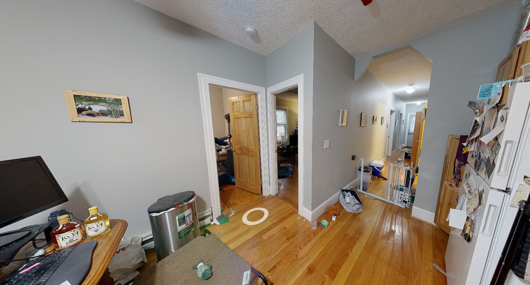 29 Portsmouth St, Wellington-Harrington