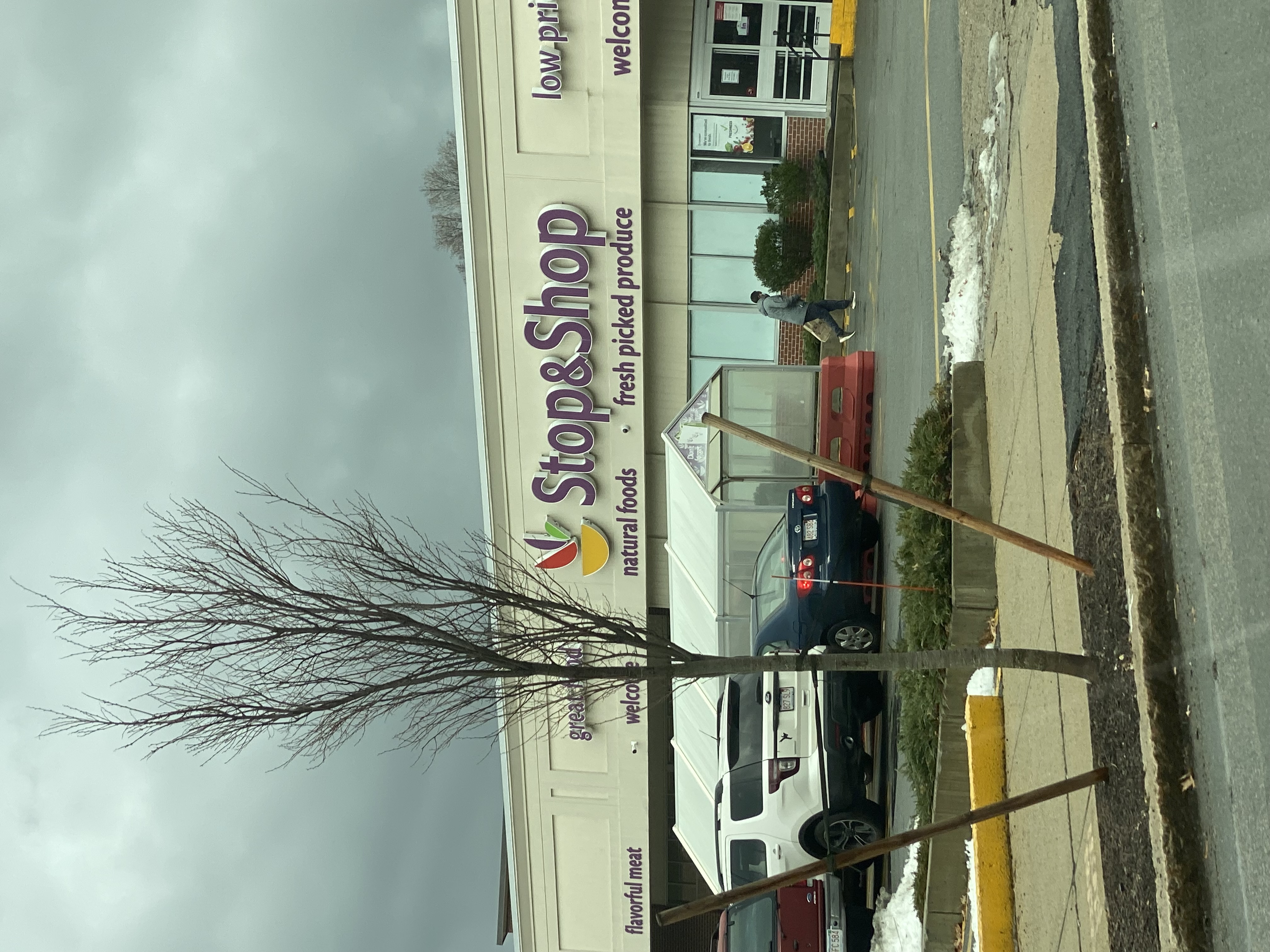 39 Waterhouse St, West Somerville