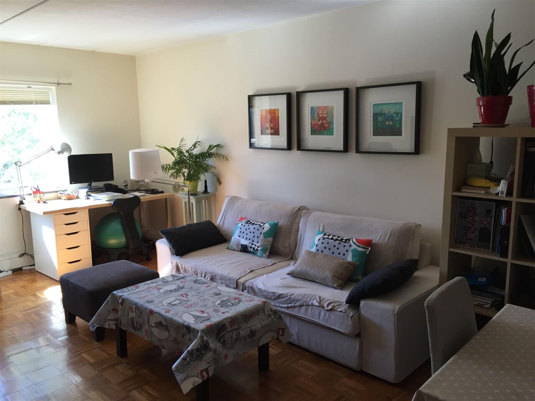 284 Harvard St, Central Square