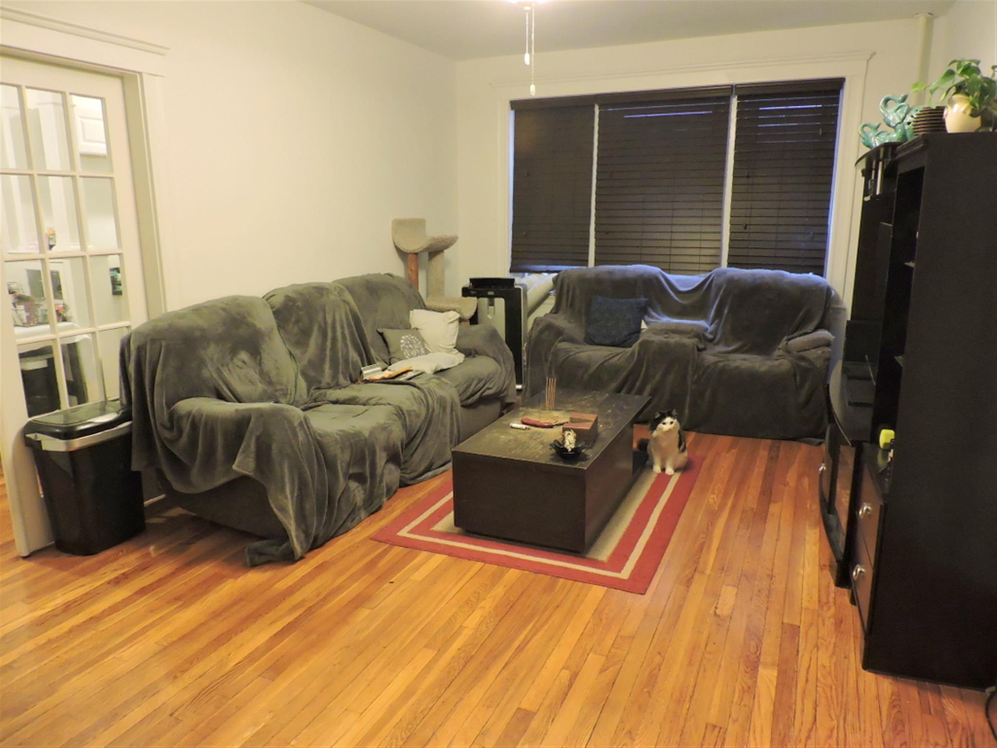 11 Gray, Porter Square