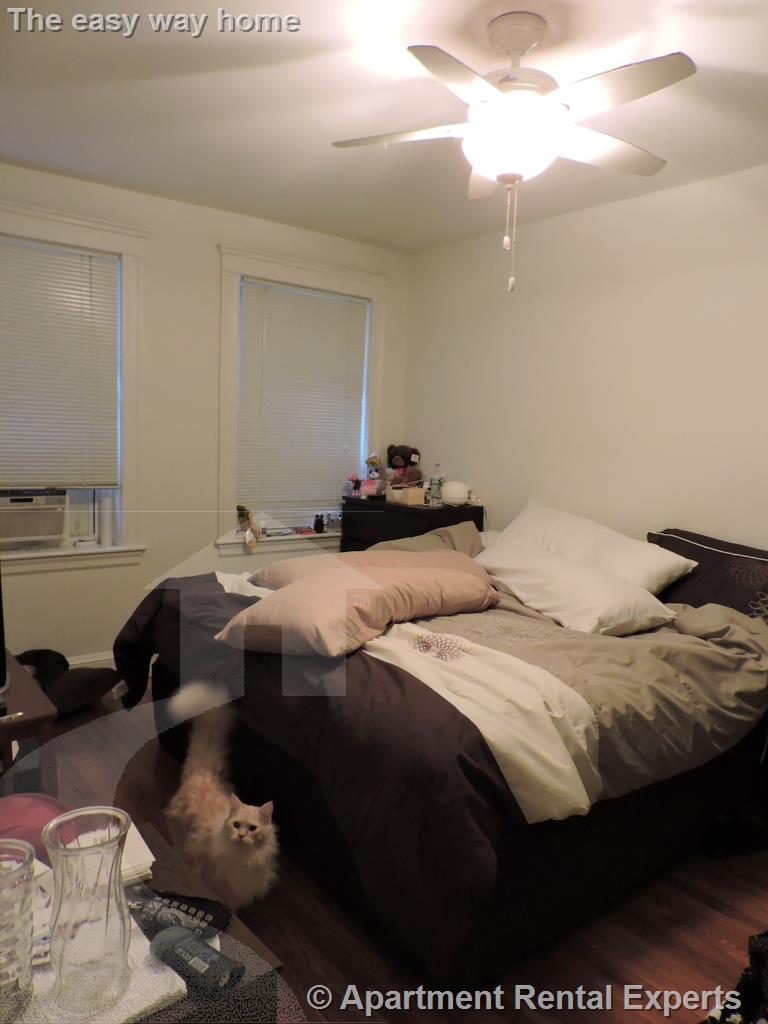 11 Gray St, Porter Square