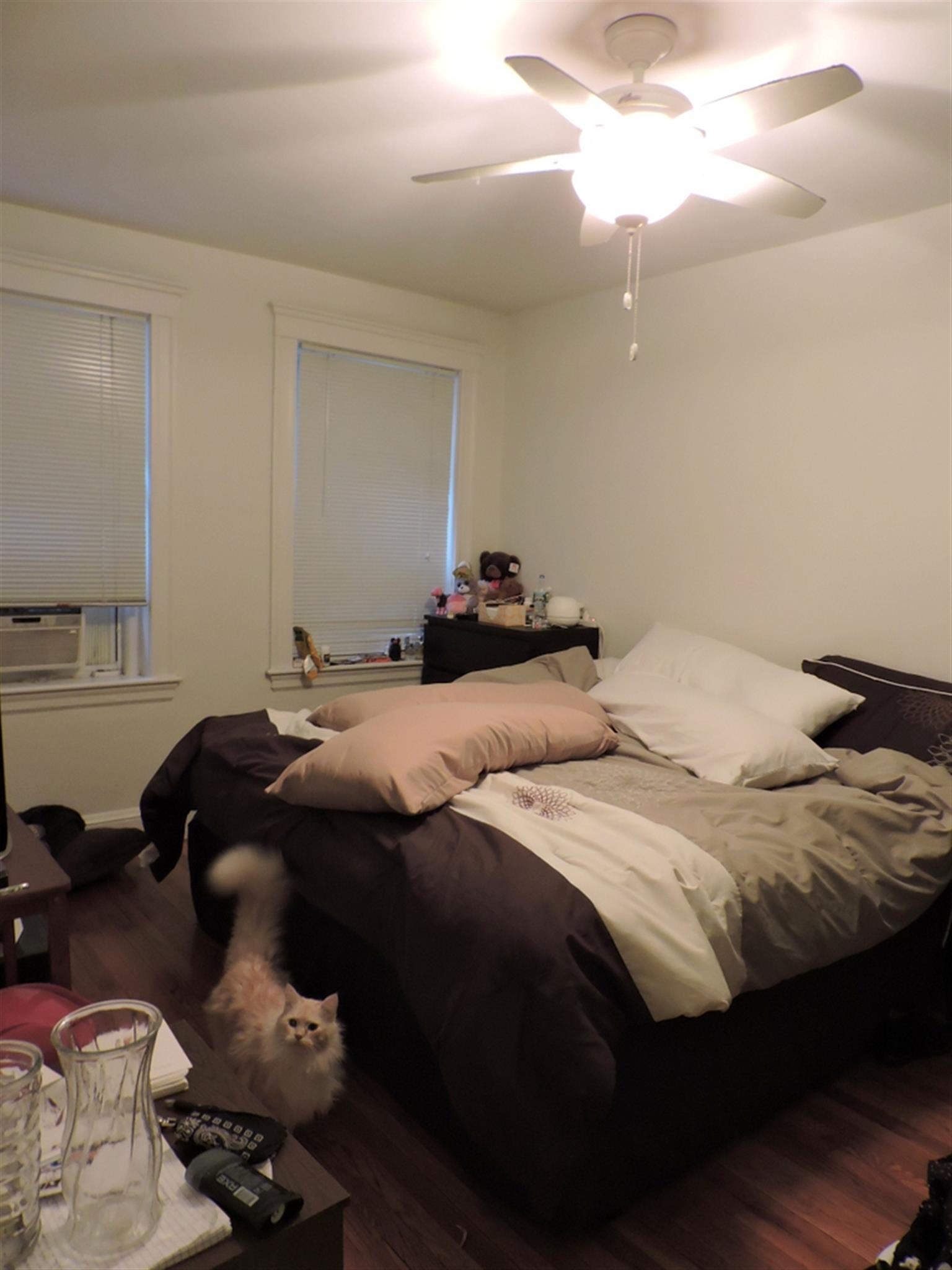 11 Gray, Porter Square