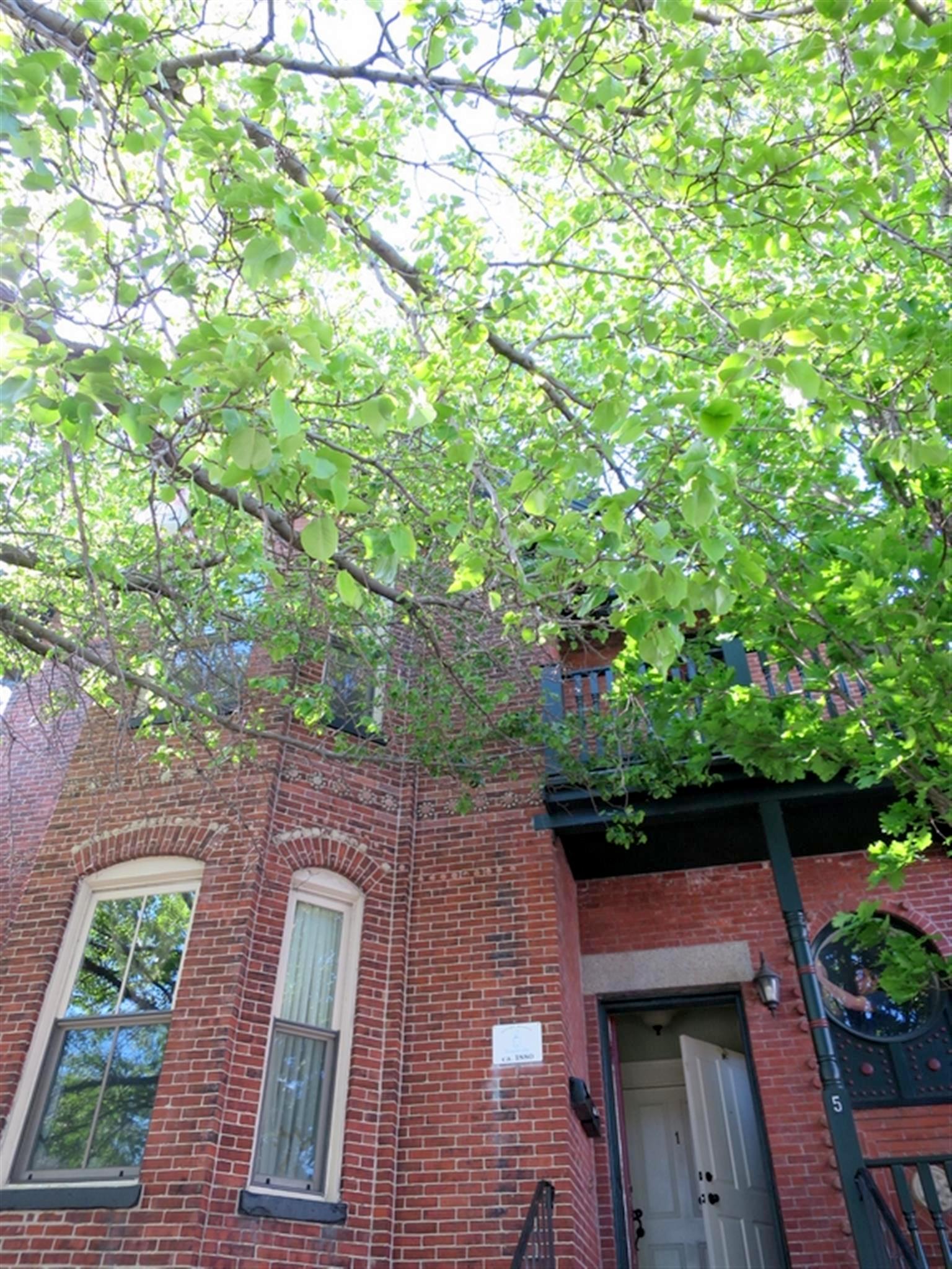 5 Prospect Hill Ave, Prospect Hill