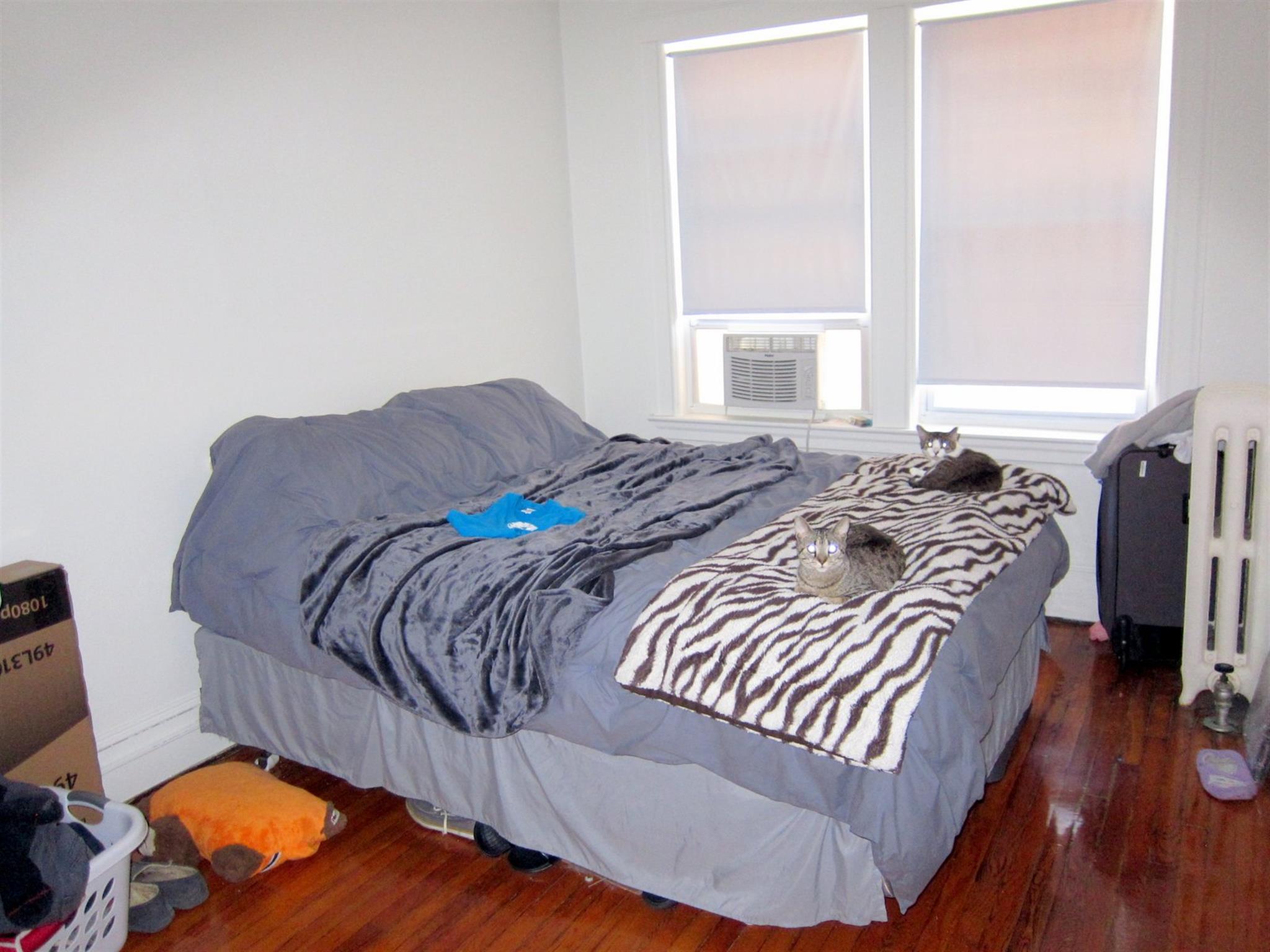 157 Summer St, Spring Hill