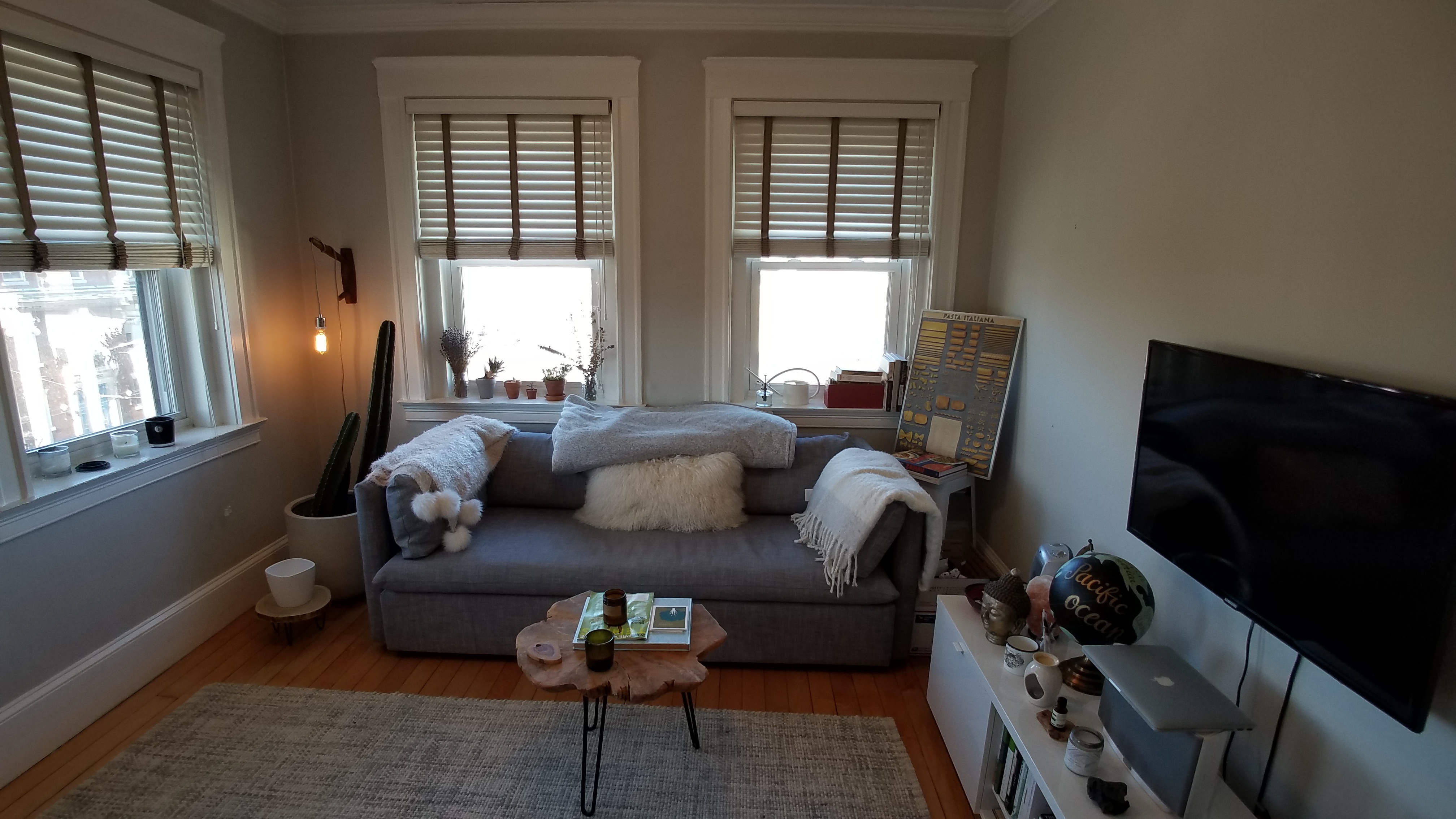 1925 Massachusetts Ave, Porter Square