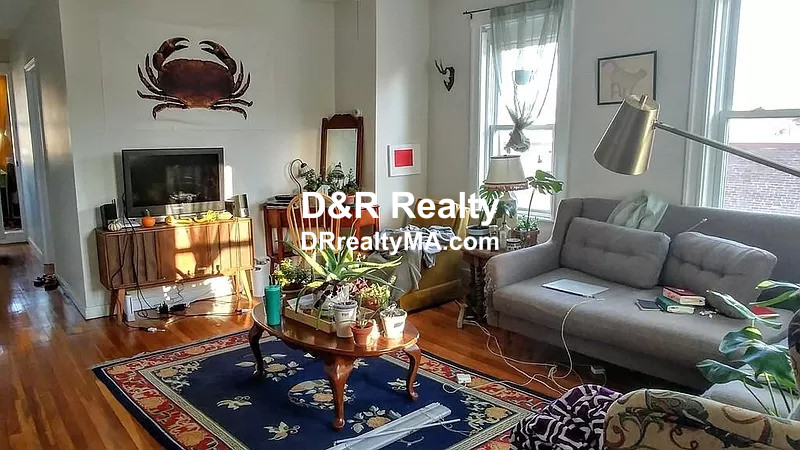 202 Elm St, Cambridgeport