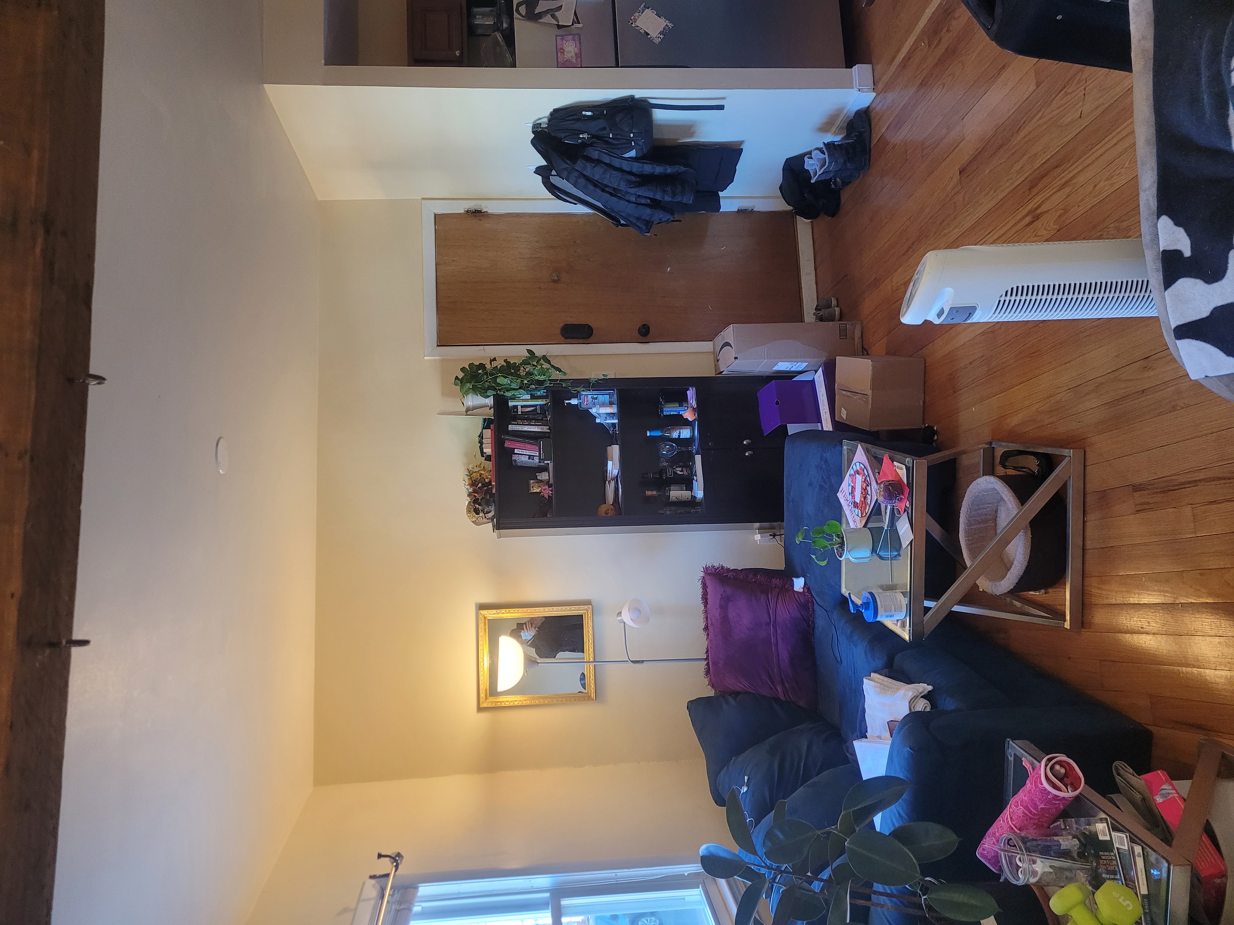 256 Summer St, Porter Square