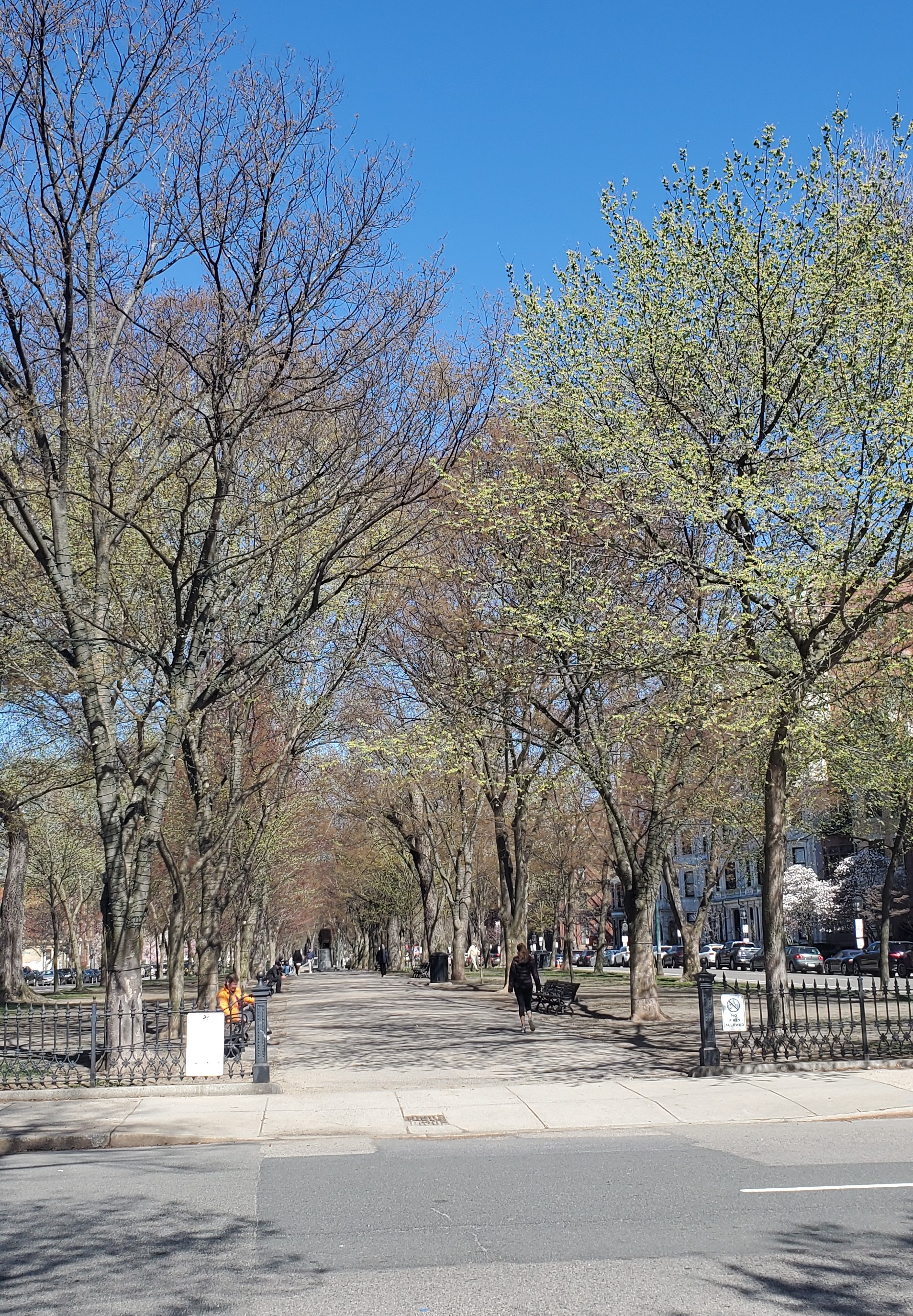 195 Commonwealth Ave, Back Bay