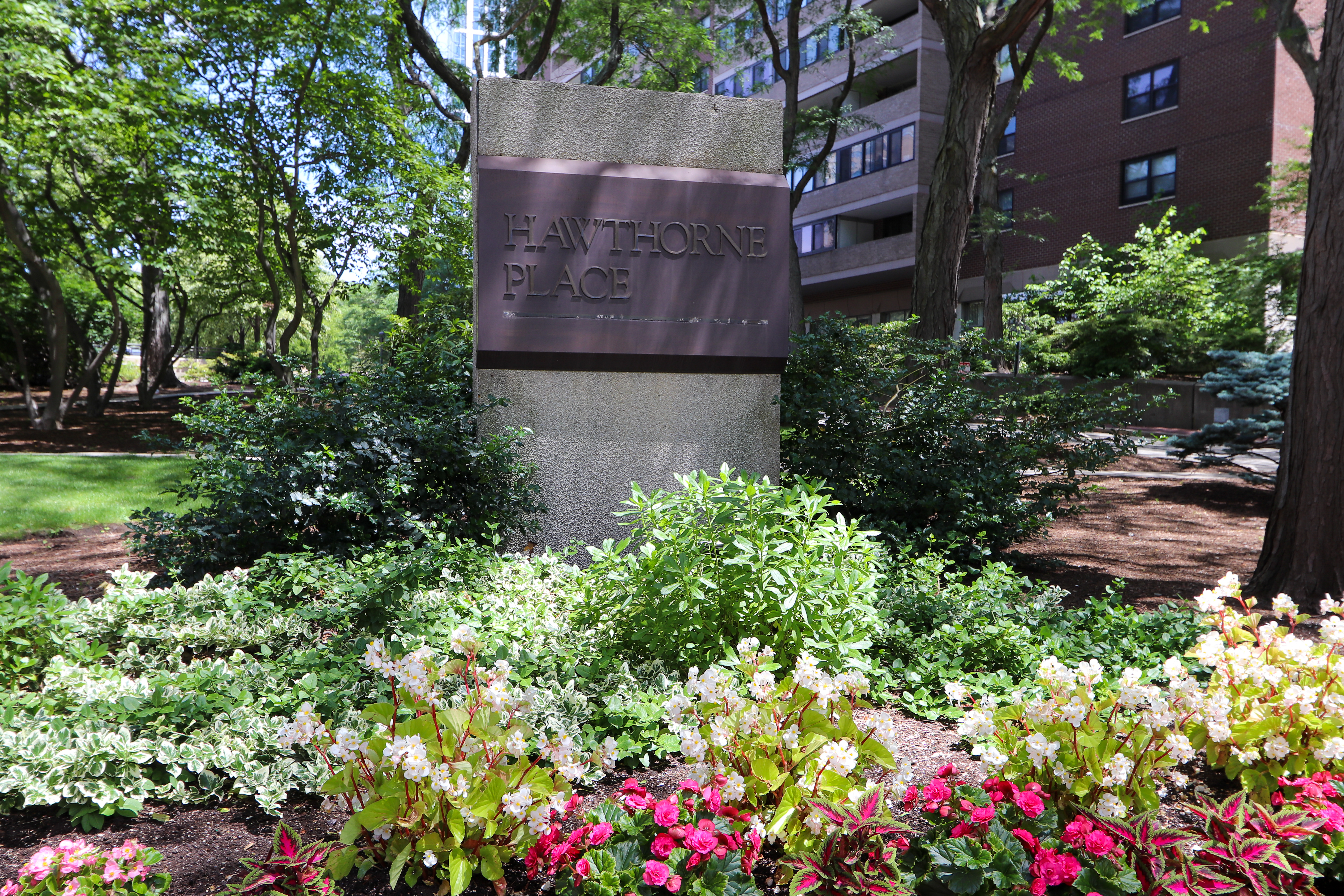 9 Hawthorne Pl, West End