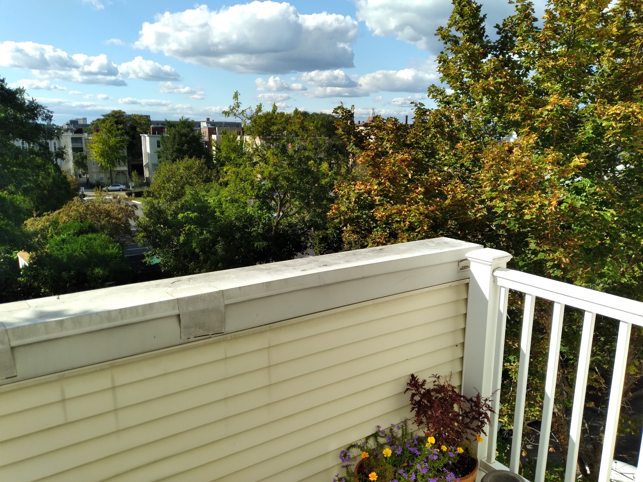 218 Thorndike Pl, Kendall Square