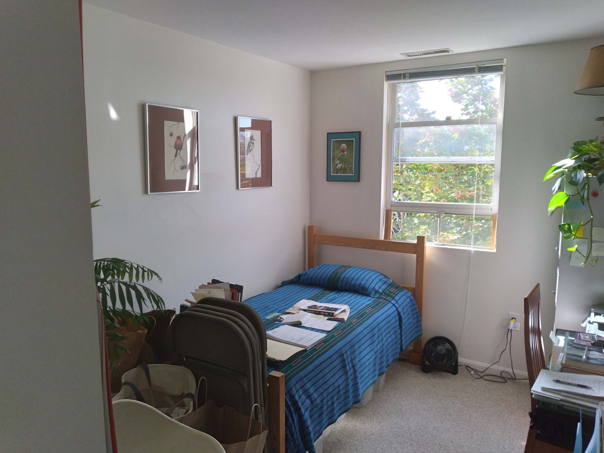 218 Thorndike Pl, Kendall Square