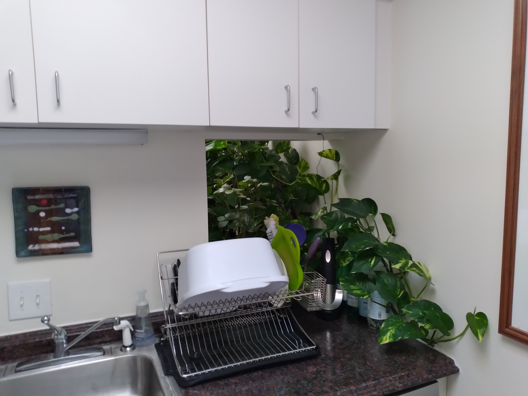 218 Thorndike Pl, Kendall Square