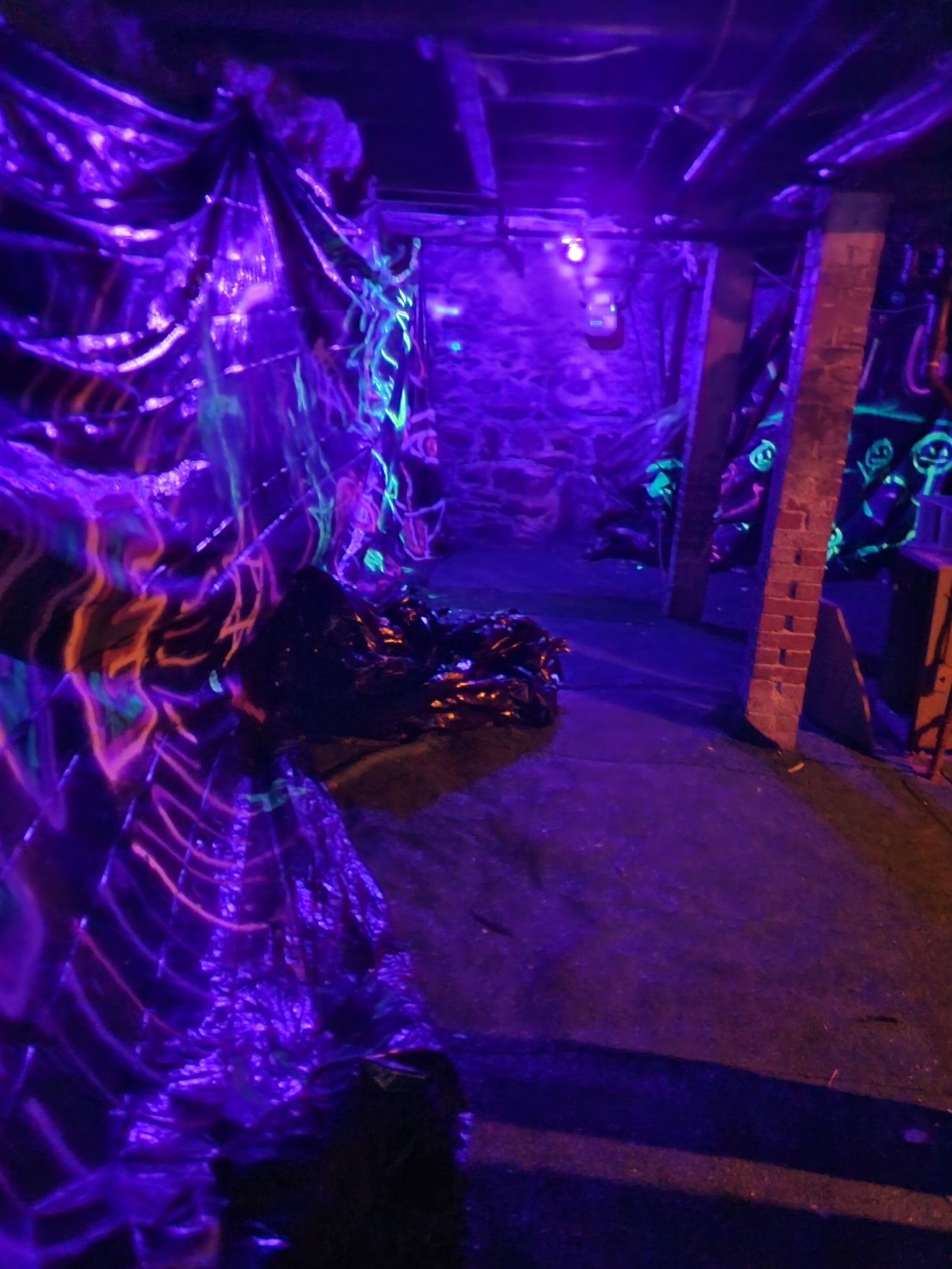 48 Alleghany St, Mission Hill