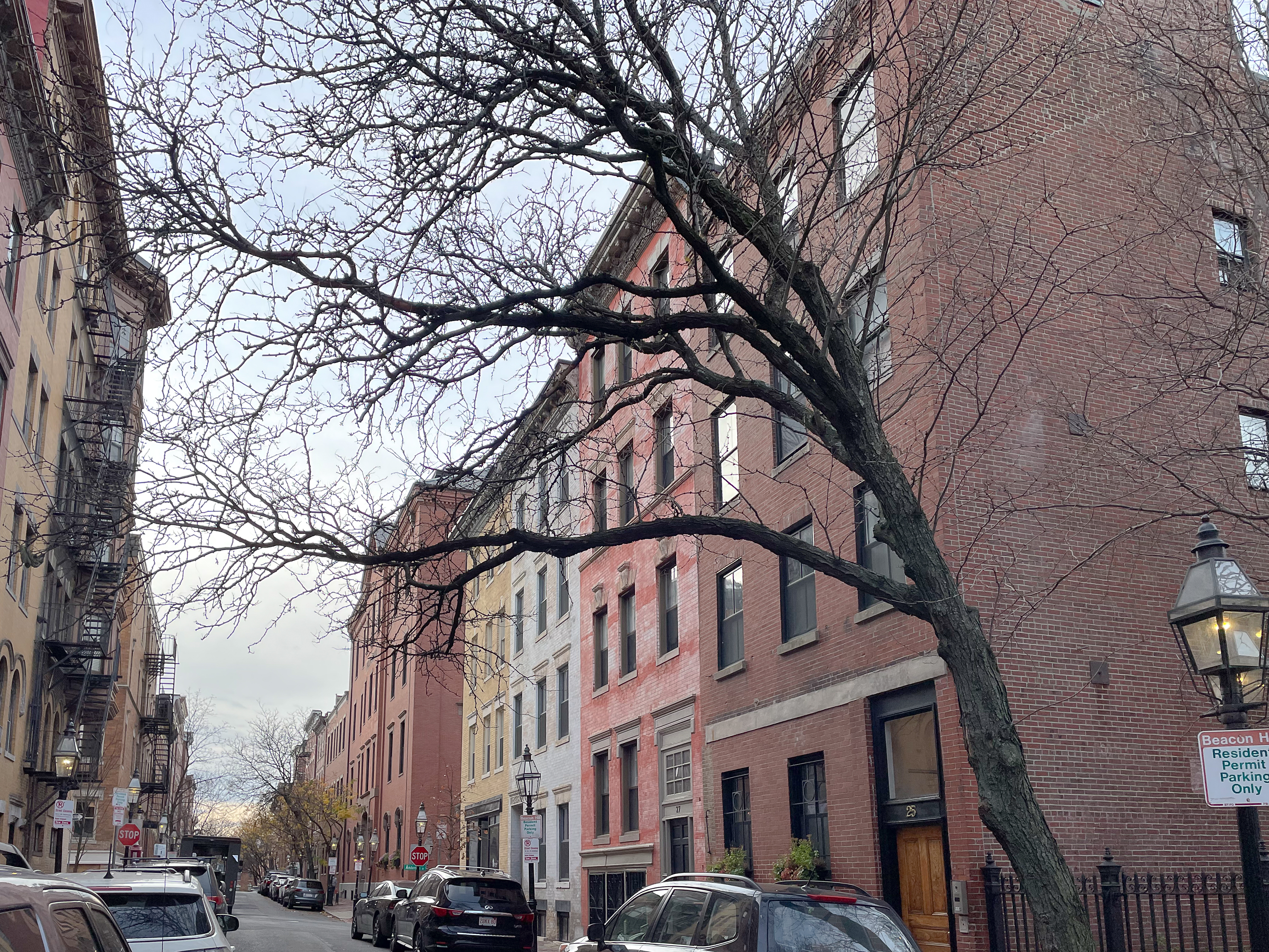 27 Phillips St, Beacon Hill