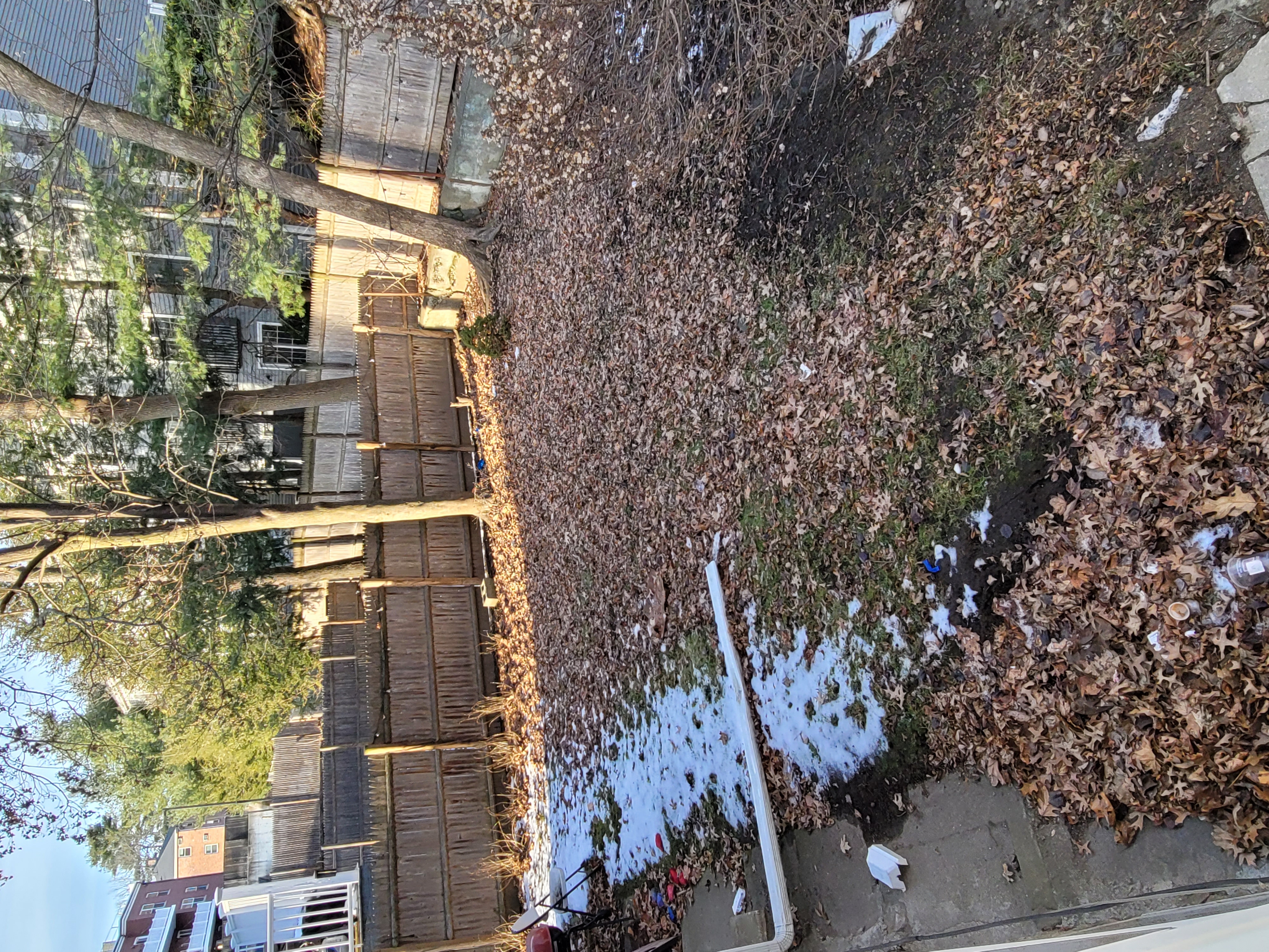 455 Summer St, Arlington