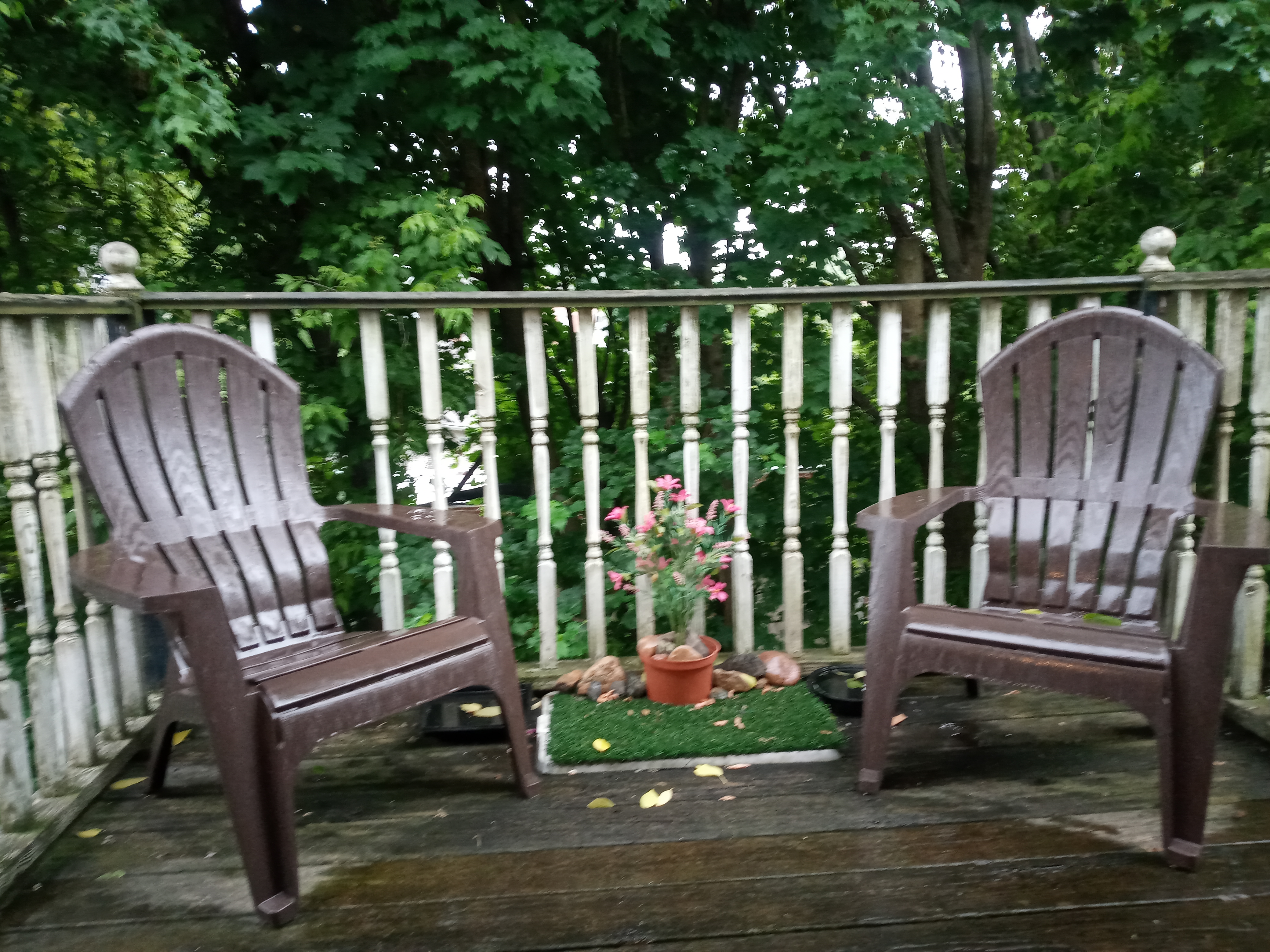 159 Foster St, Brighton