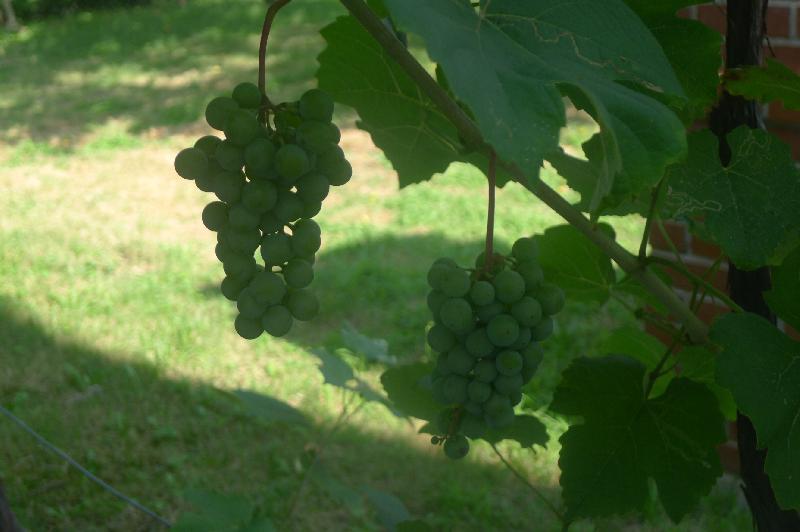 13 Flint St, East Somerville